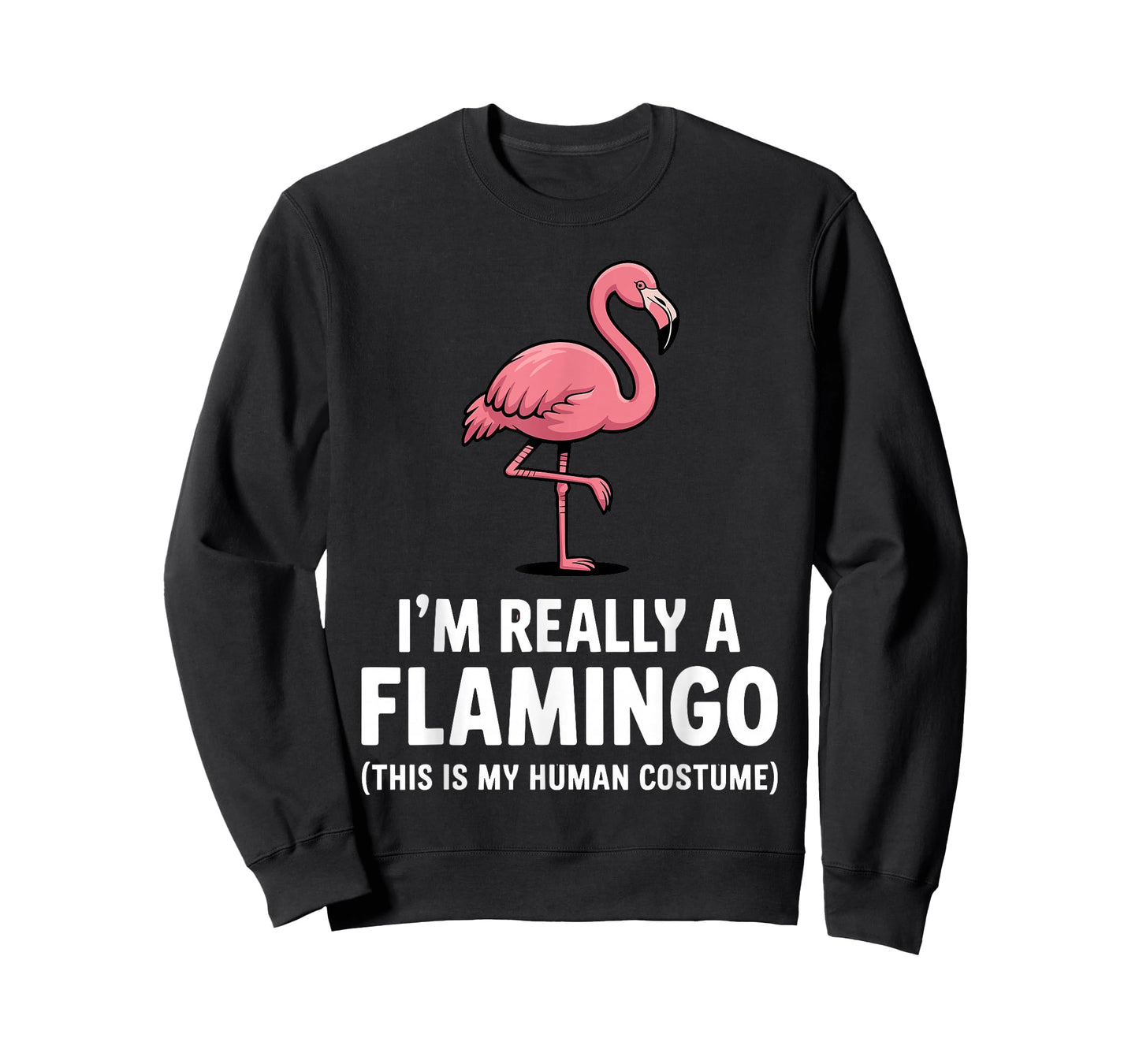 Funny Flamingo Design for Men Women Kids Bird Pink Flamingo T-Shirt