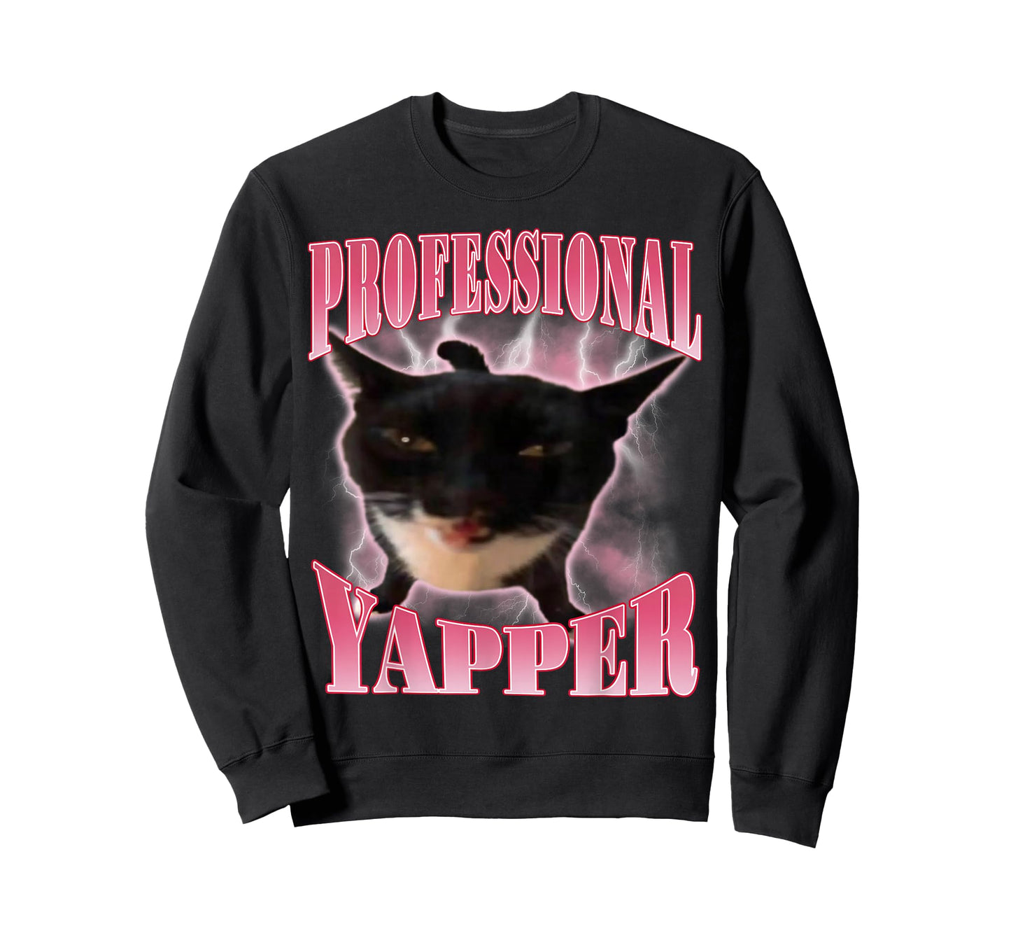 Professional Yapper Cat Funny Oddly Specific Dank Meme T-Shirt