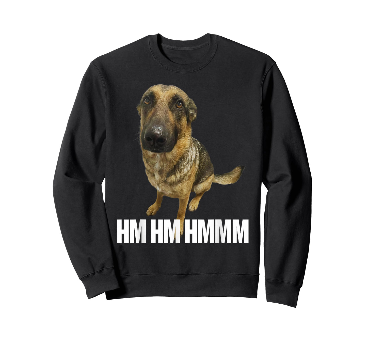 Funny Hm Hmm Whining Dog Viral Meme T-Shirt