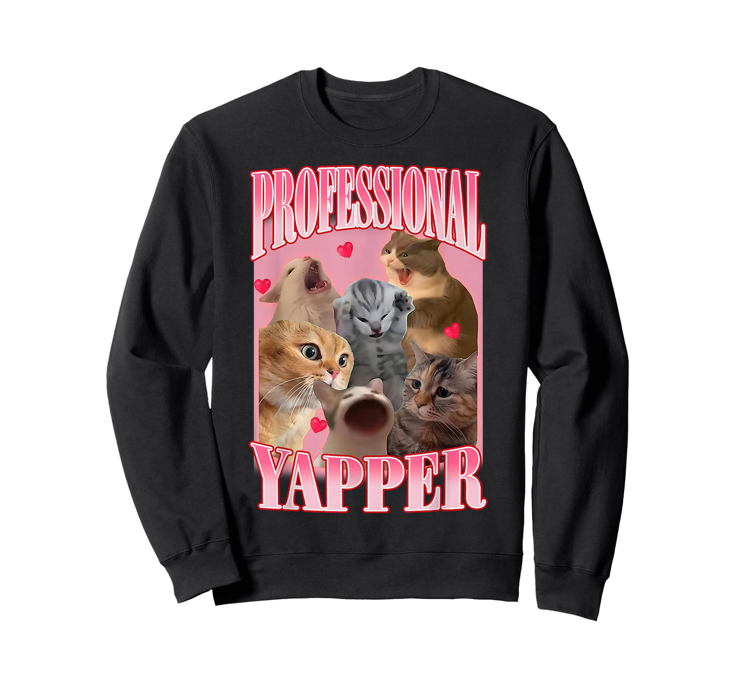 Professional Yapper Cat Funny Oddly Specific Dank Meme T-Shirt