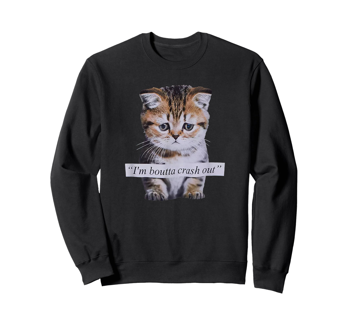 I'm Boutta Crash Out Cat Funny Meme Cat Pet Lover T-Shirt