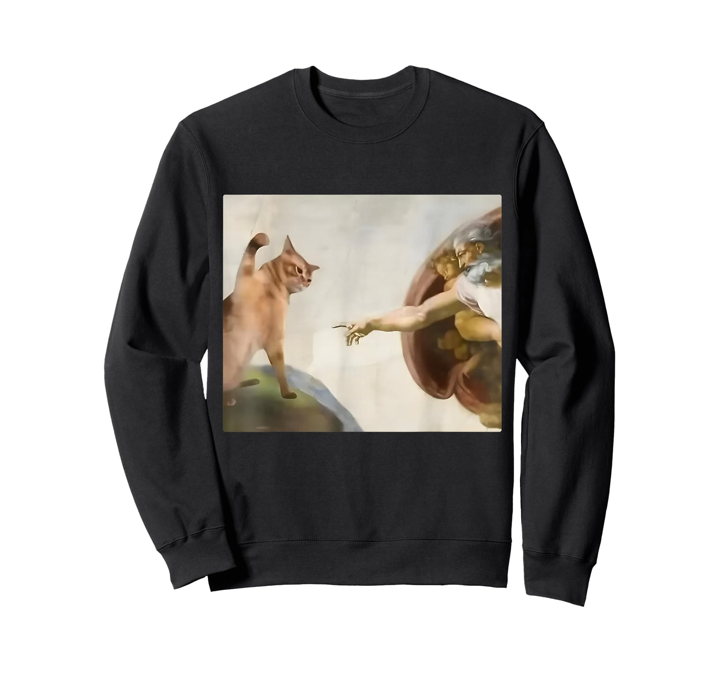Funny Cat Slap Creation of Adam Cat Meme Stupid Brain Rot T-Shirt