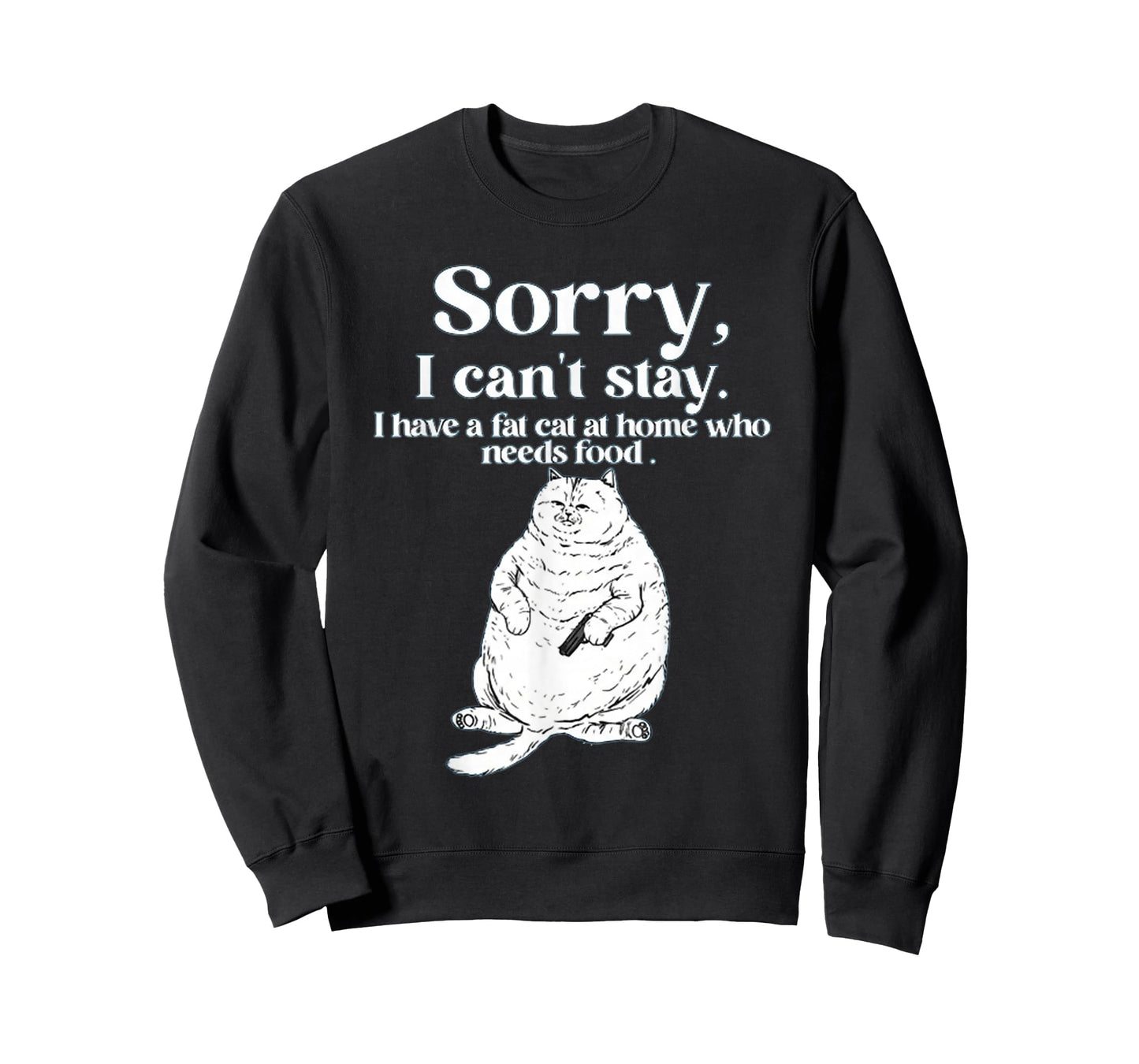 Sorry, I Can’T Stay I Have A Fat Cat at Home Who Needs Food T-Shirt