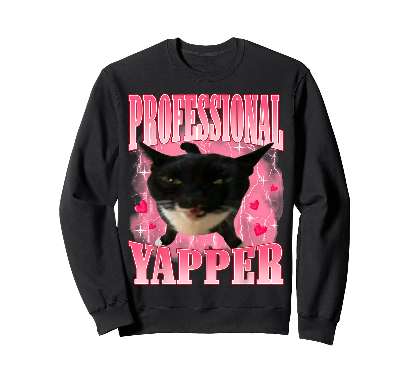 Professional Yapper Cat Funny Oddly Specific Dank Meme T-Shirt