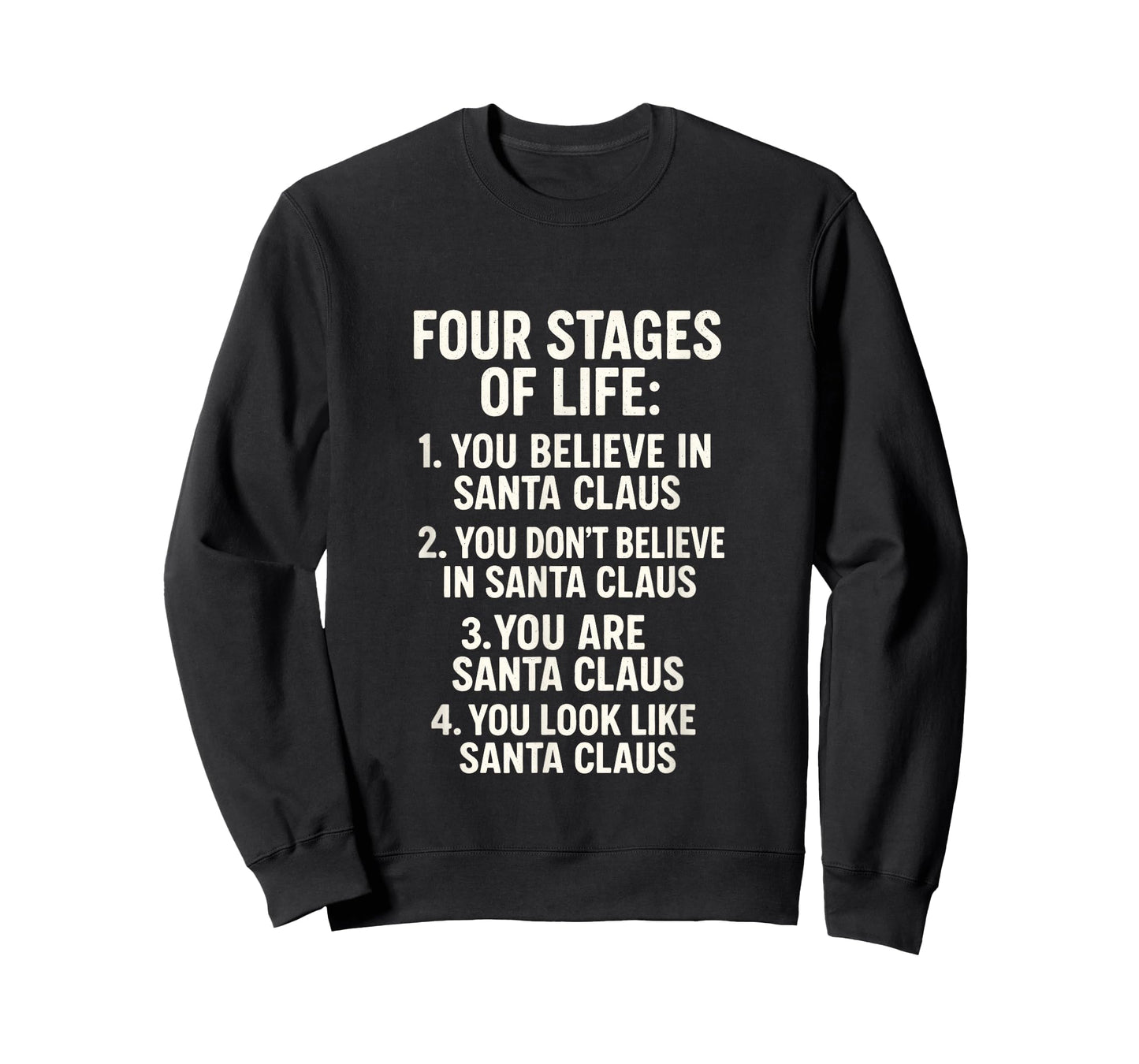 Four Stages of Life - Funny Dad Santa Humor T-Shirt