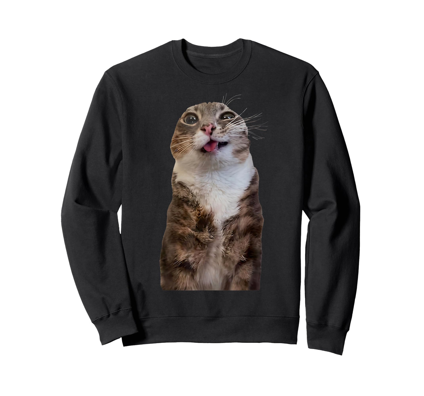Funny Rigby Cat Silly Viral Meme T-Shirt