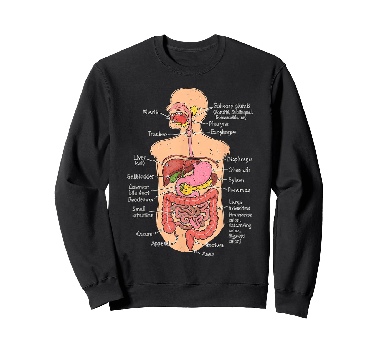 Human Digestive System Anatomy Chart Biology Diagram T-Shirt