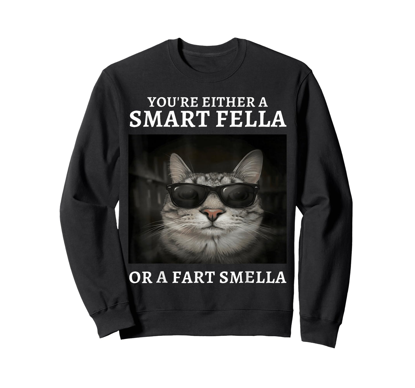 You're Either A Smart Fella Or A Fart Smella Funny Cat Meme T-Shirt