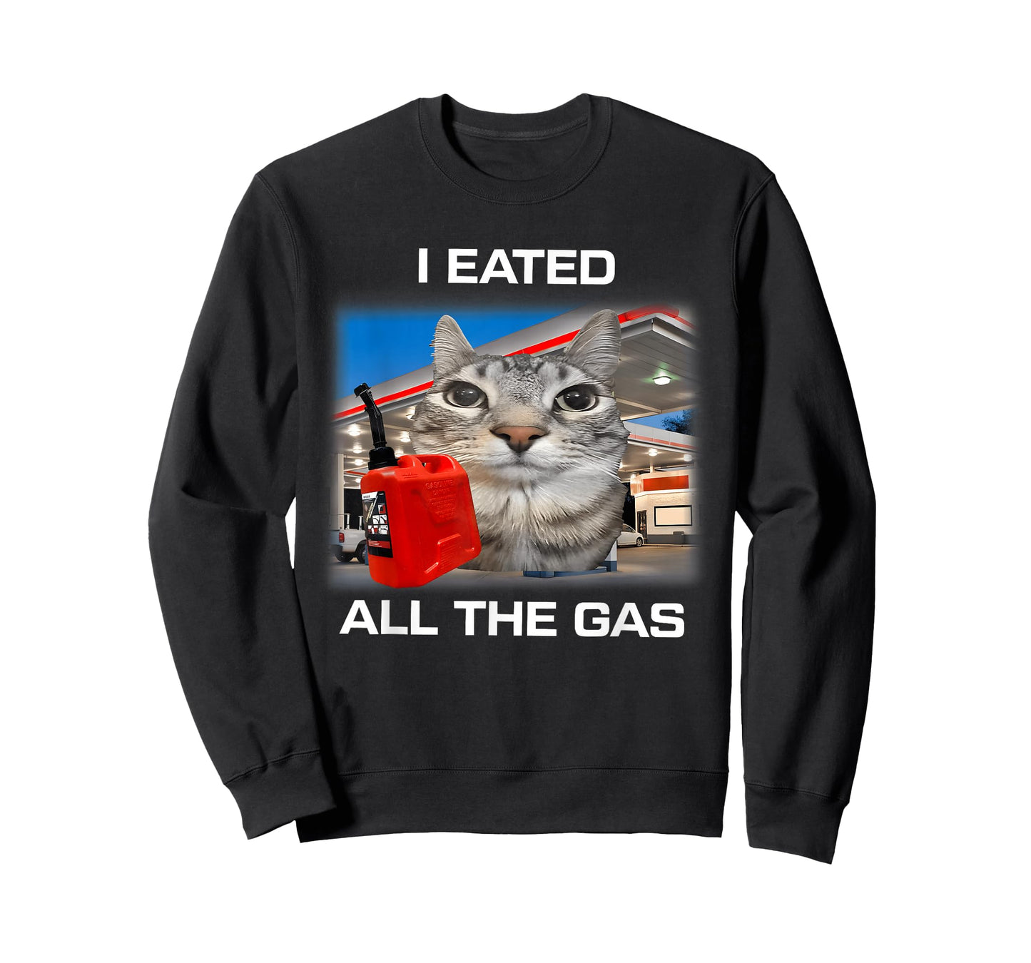 I Eated All The Gas Funny Silly Staring Cat Meme Gen Z Humor T-Shirt