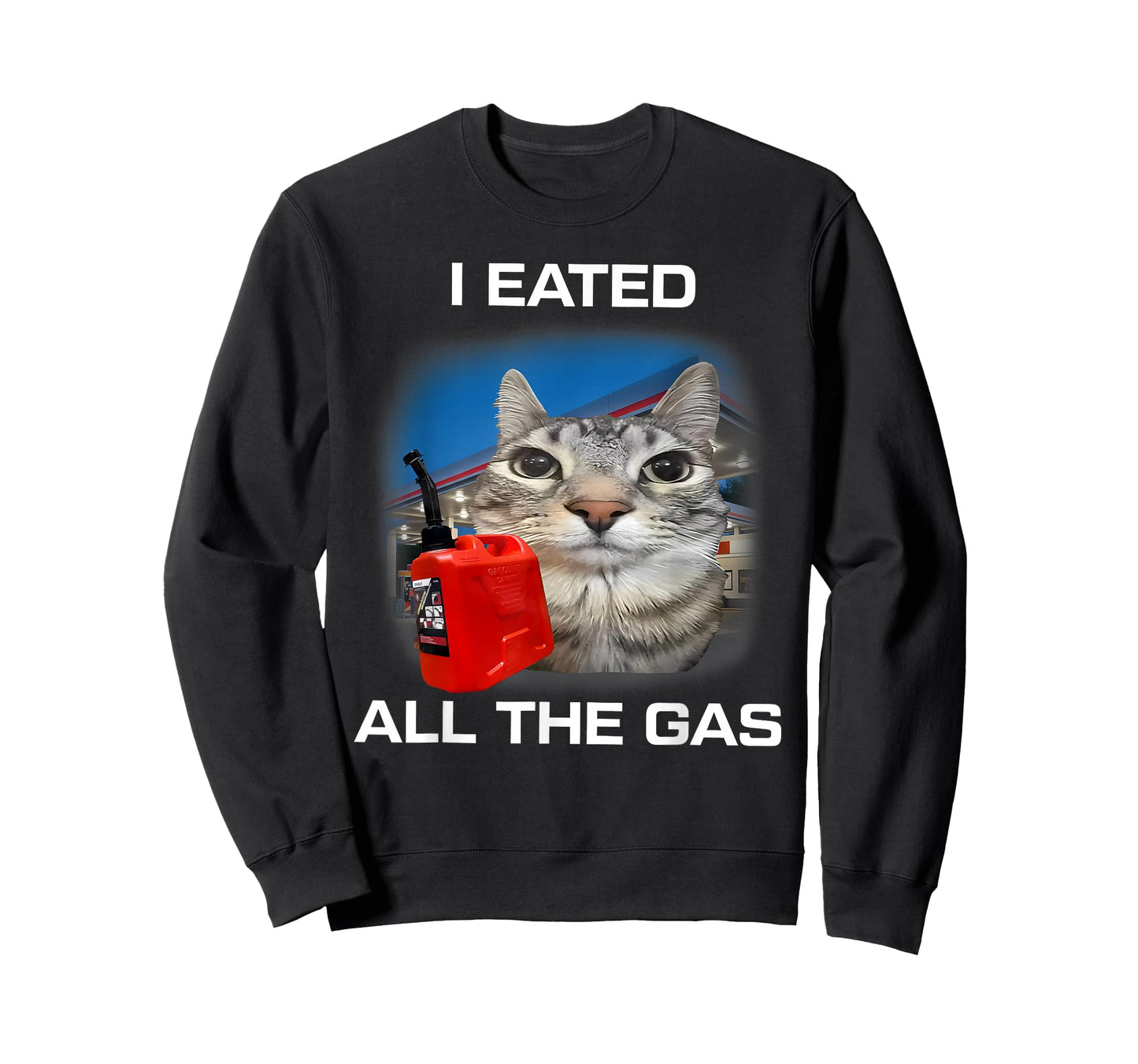 I Eated All The Gas Cat Meme Stupid Brainrot Humor T-Shirt