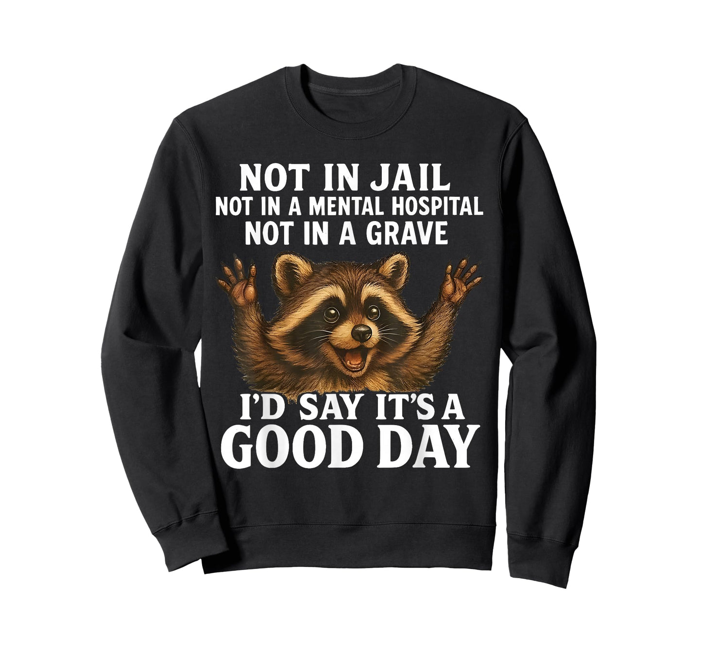 Raccoon Not in Jail Not in A Mental Hospital Funny Saying T-Shirt