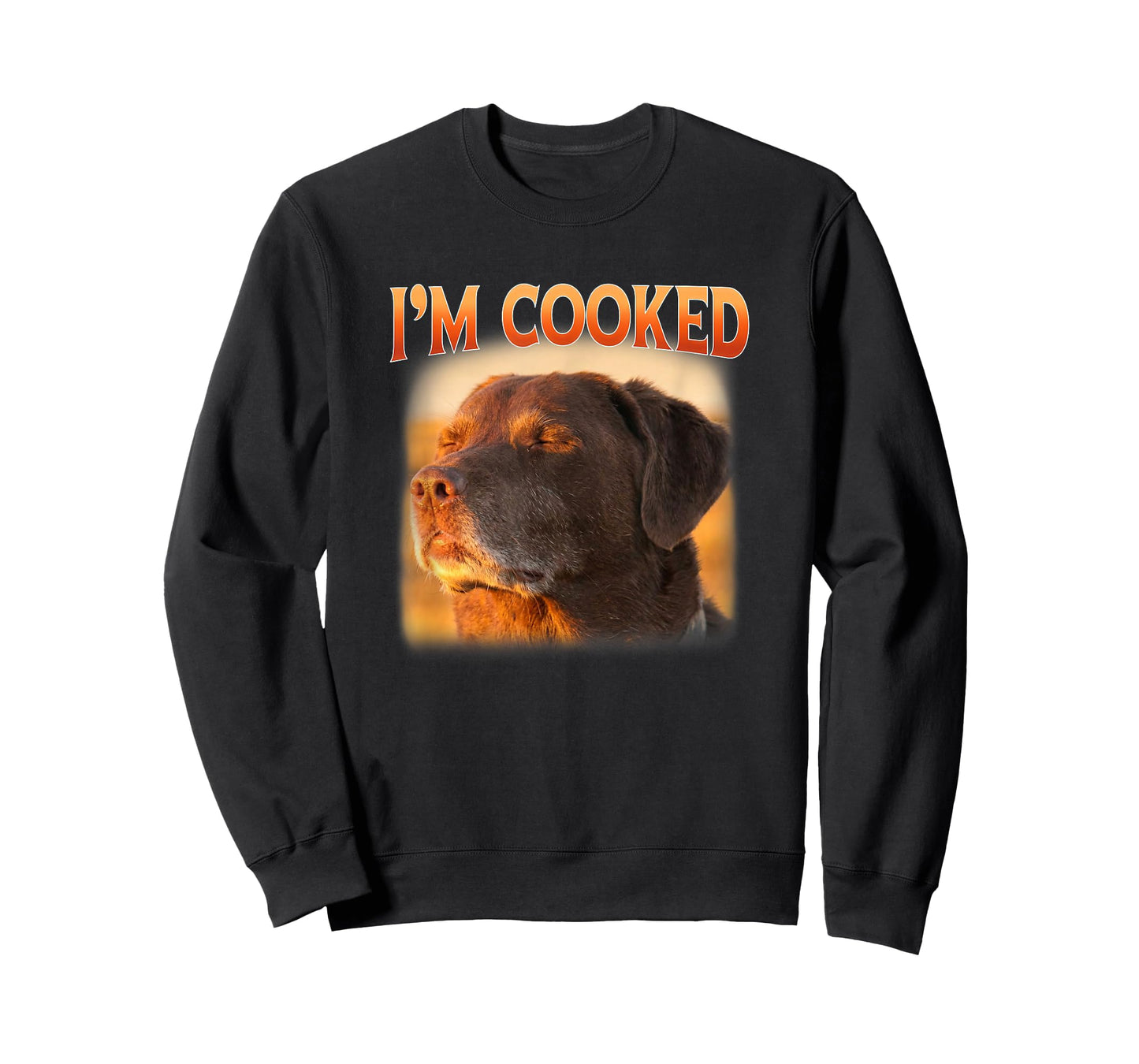 I'm Cooked Dog Meme Accepting Fate T-Shirt