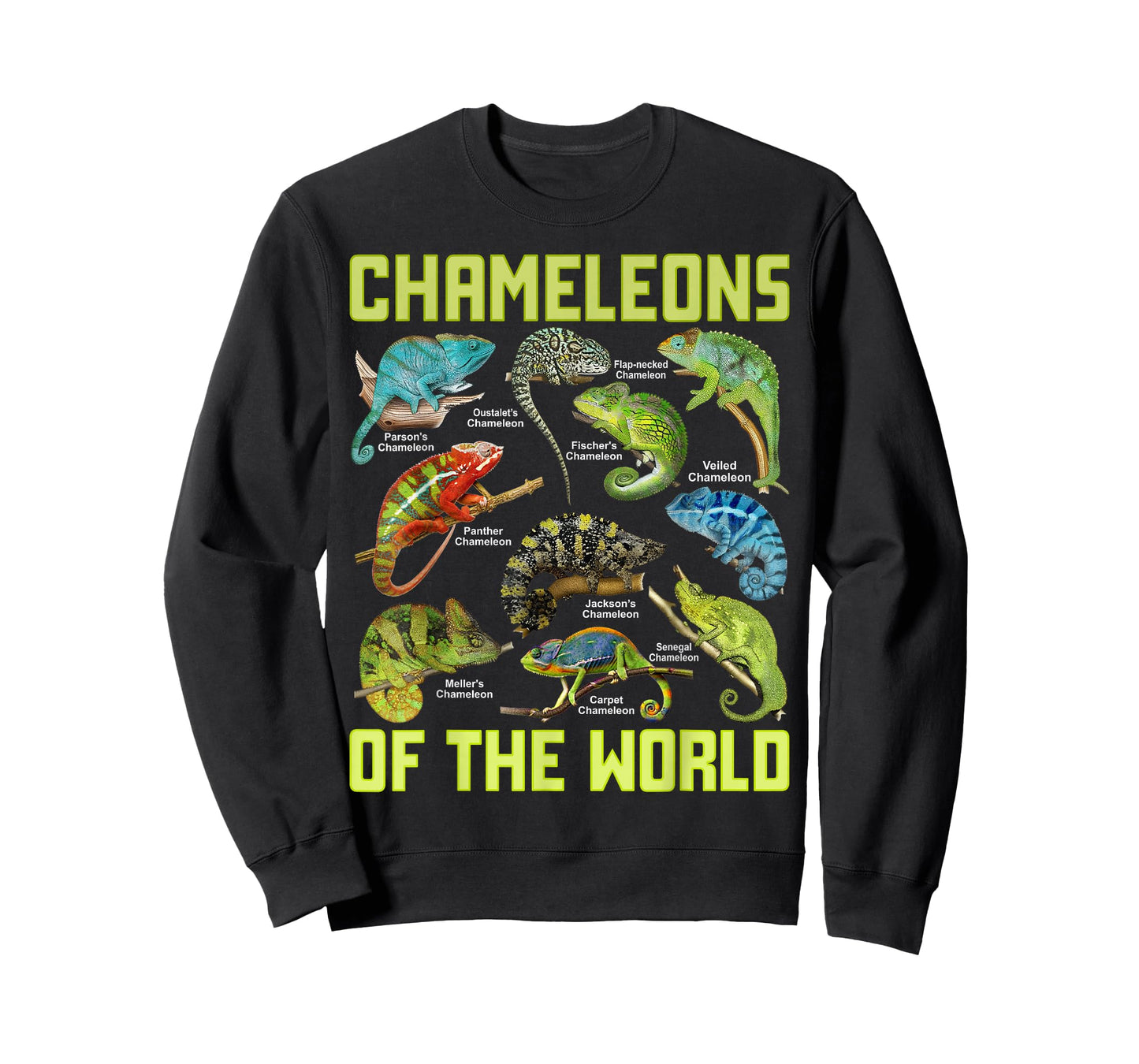 Chameleons of The World Educational Colorful Reptile Lizard T-Shirt