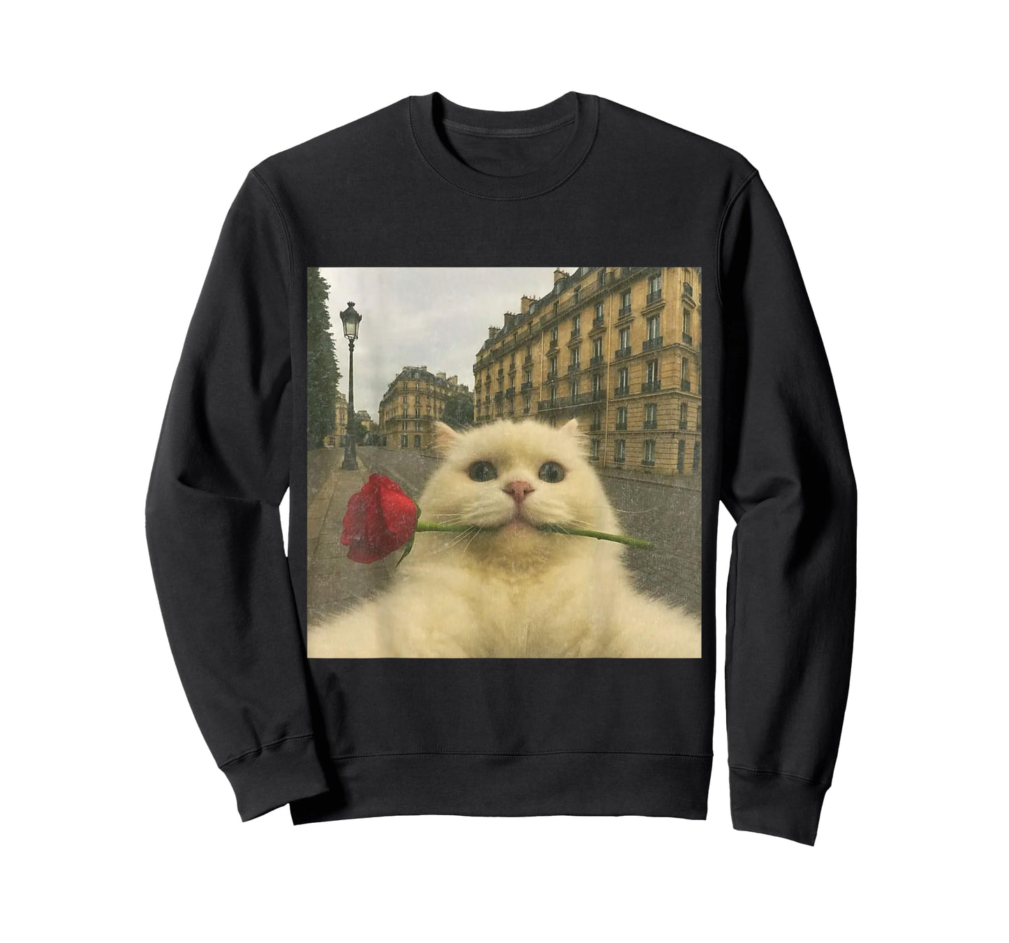 Funny Romantic Cat Selfie Paris Rose Cat Meme Valentine T-Shirt