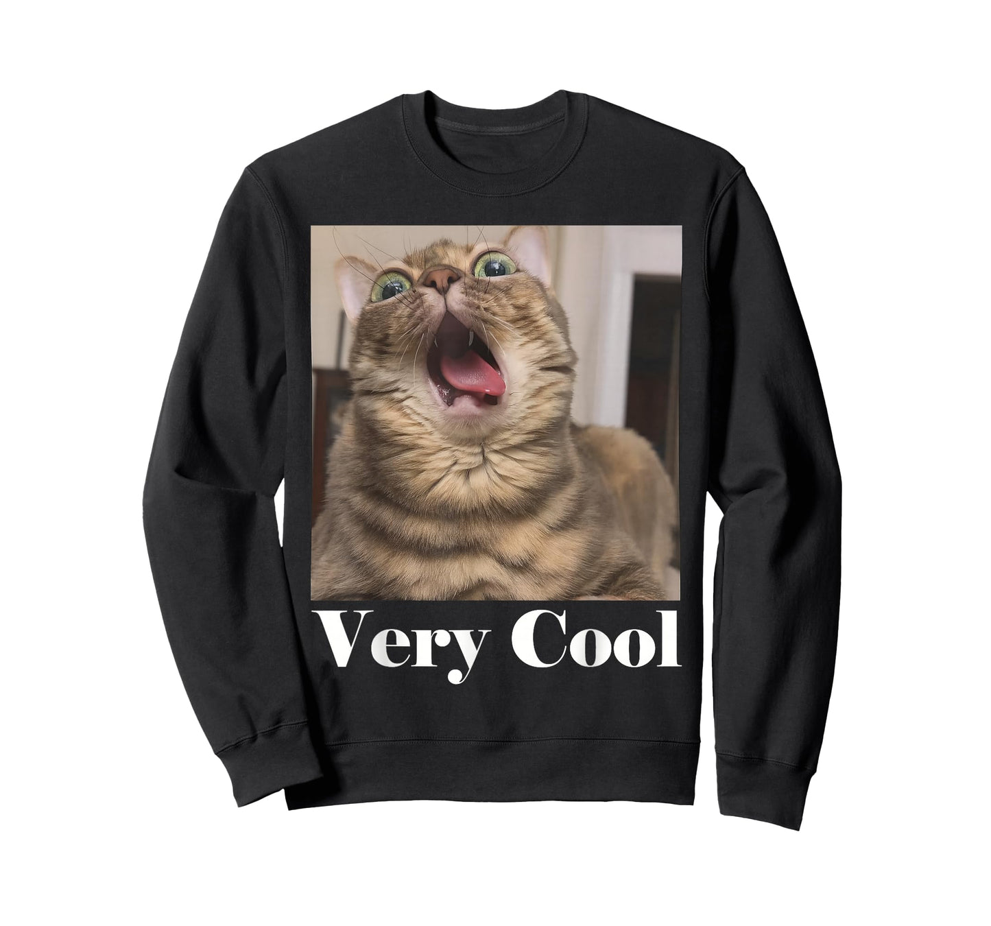 Cats Meme Graphic Silly Cat Humor Funny Cat Very Cool T-Shirt