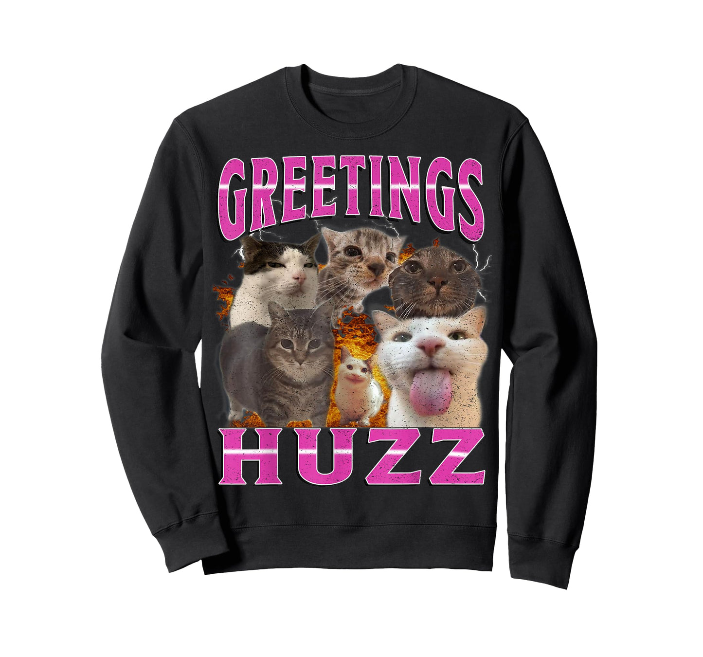 Cat Meme Greetings Huzz Funny Silly Cats Humor Bootleg T-Shirt