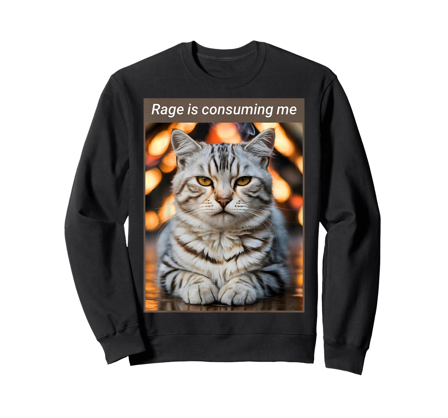 Rage is Consuming Me - Funny Cat T-Shirt