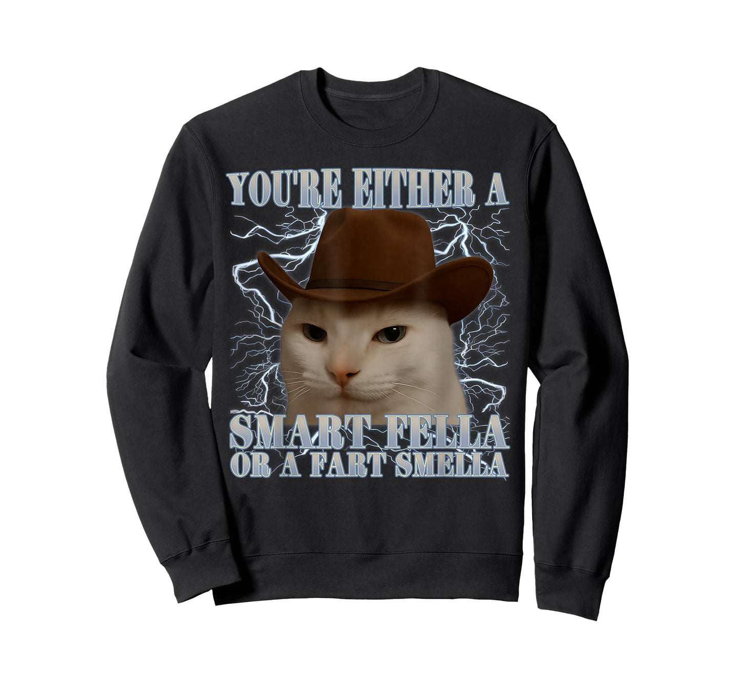 You're Either a Smart Fella or a Fart Smella Funny Cat Meme T-Shirt