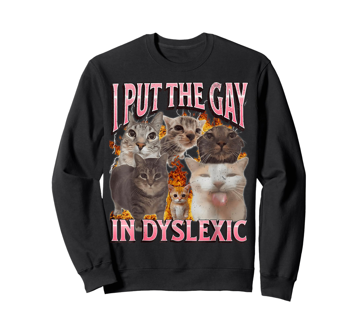 I Put The Gay in Dyslexic Funny Cat Meme Bootleg Graphic T-Shirt