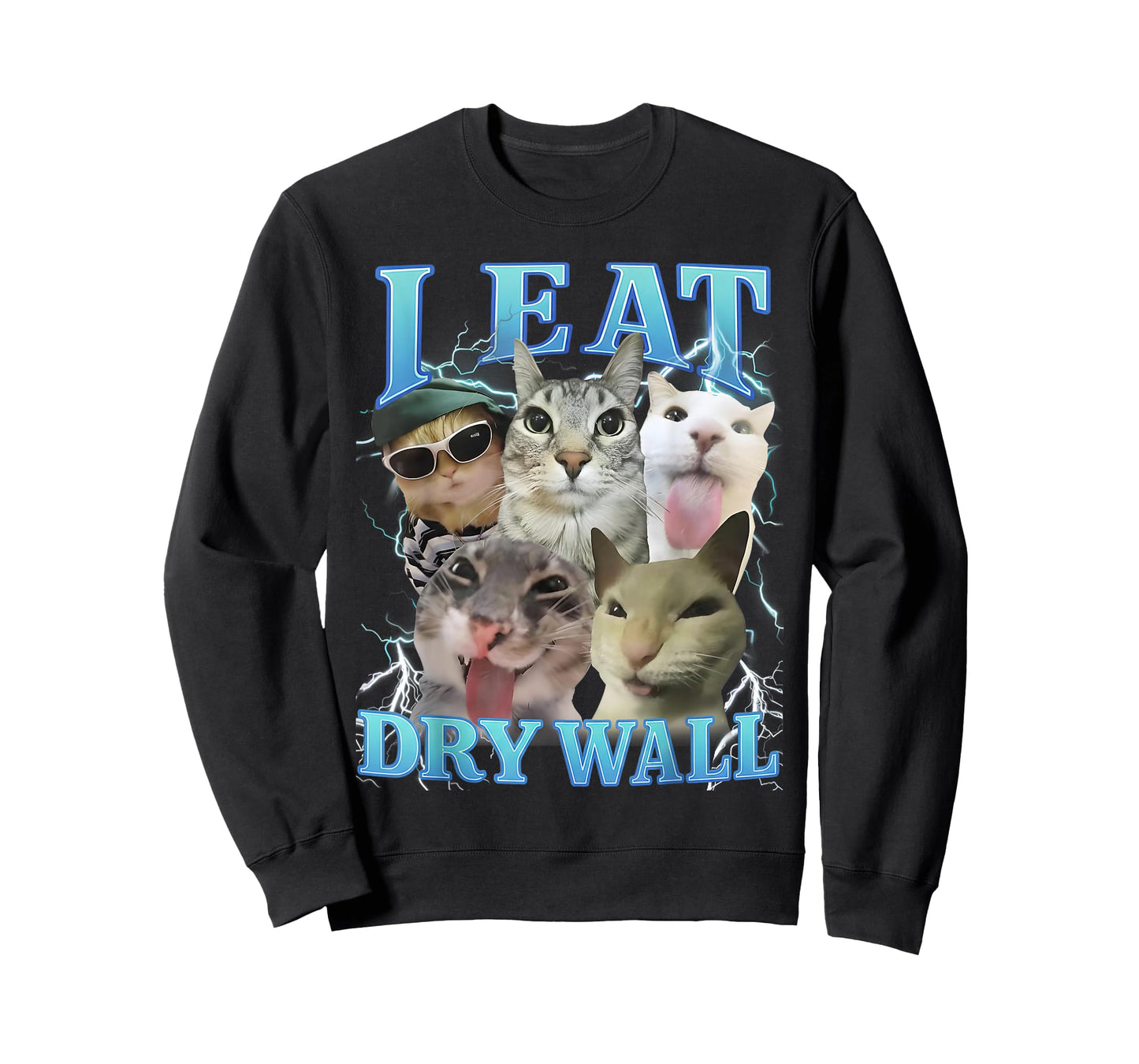 I Eat Dry Wall Funny Cat Meme T-Shirt