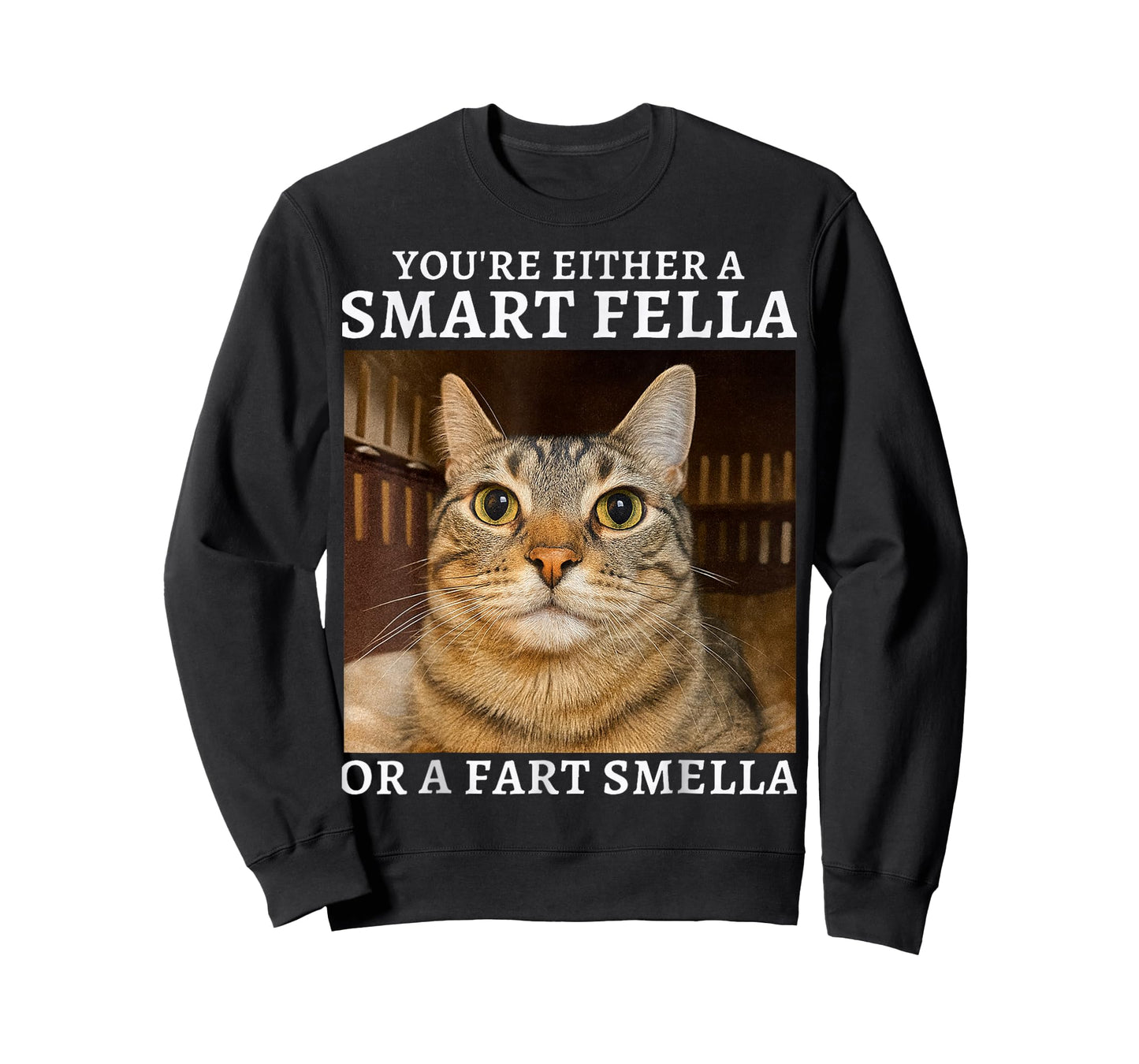 You're Either a Smart Fella or a Fart Smella Funny Cat Humor T-Shirt