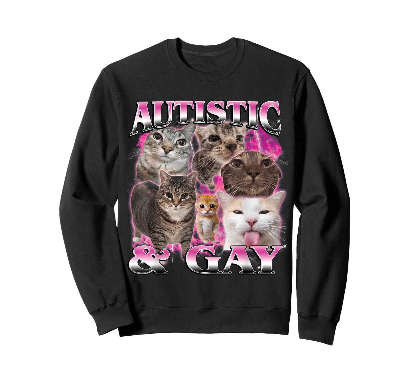 Autistic and Gay Funny Stupid Dank Cat Meme Bootleg Graphic T-Shirt