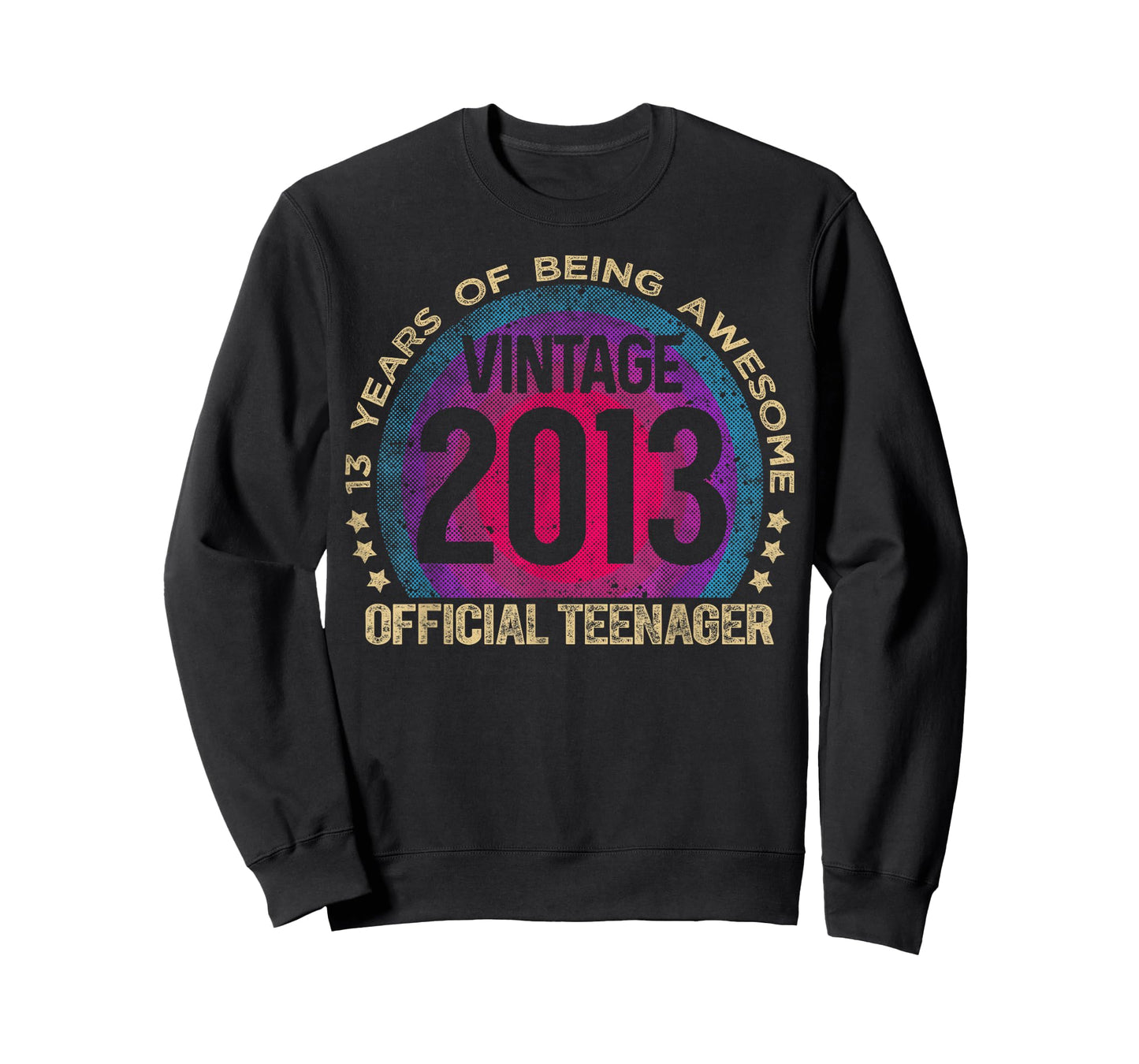 Official Teenager 13 Year Old Gifts Vintage 2013 Boys Girls T-Shirt