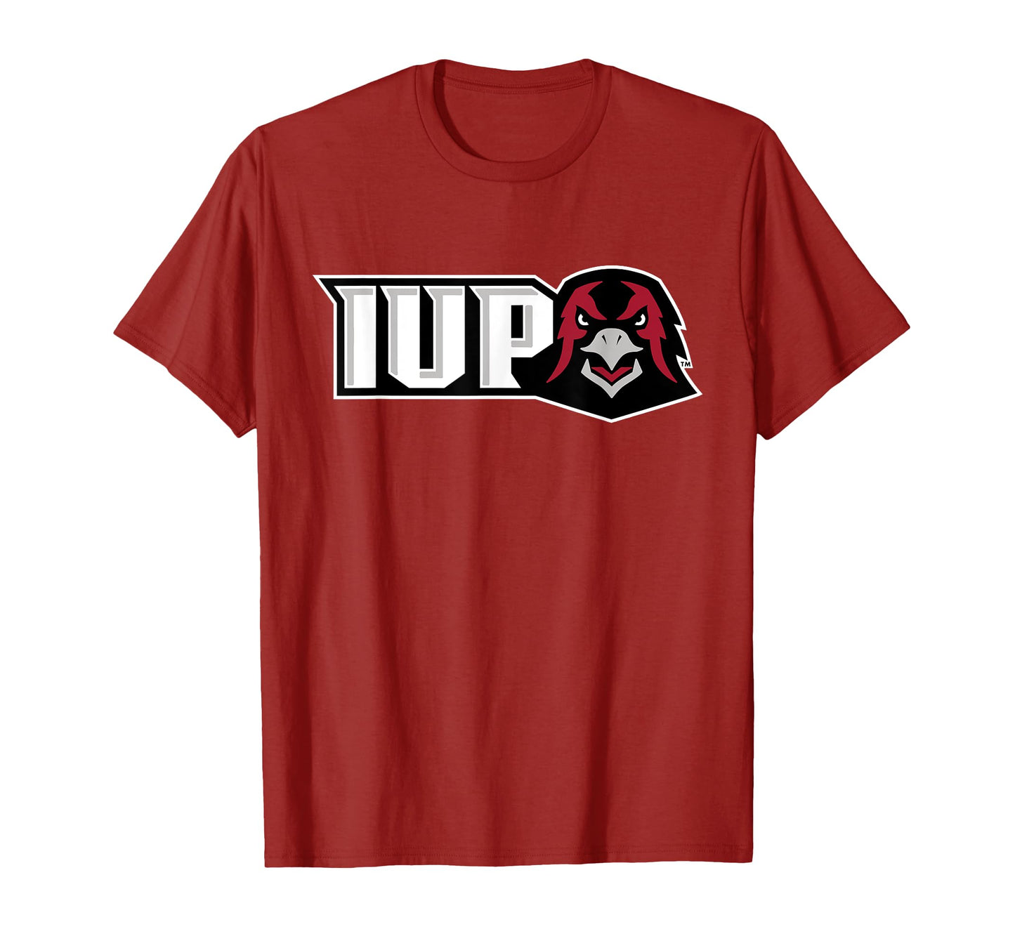 Indiana University Pennsylvania Hawks | IUP NCAA | IUPHC003 T-Shirt