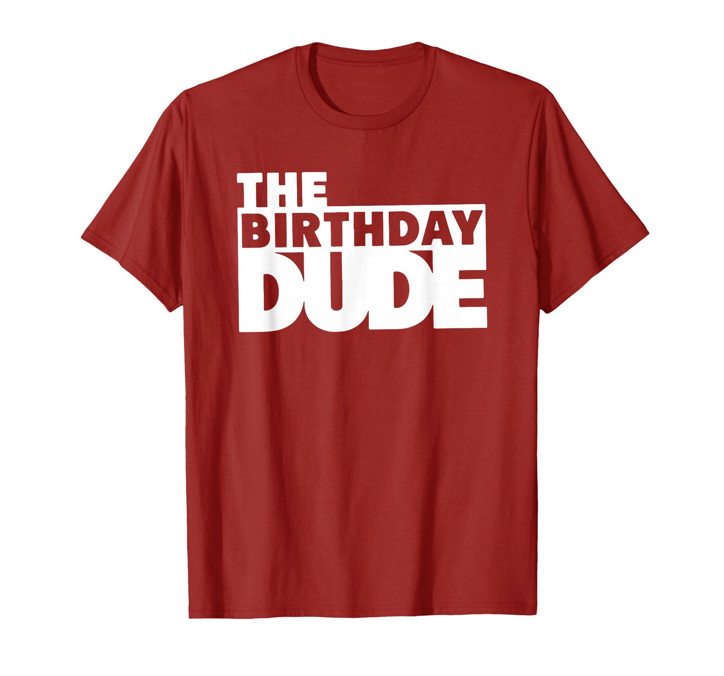 Birthday Dude Boys, Cool Boys Birthday, The Birthday Dude T-Shirt