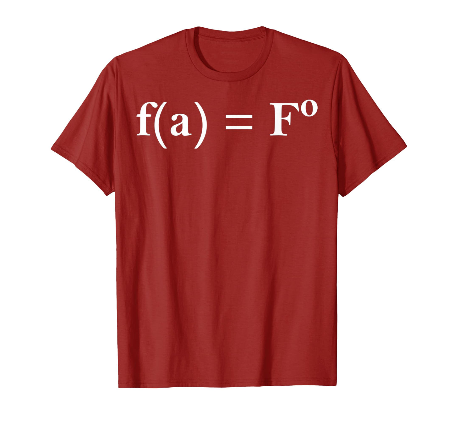 FAFO Math Equation Funny Novelty Math Teacher Nerd Geek Gift T-Shirt