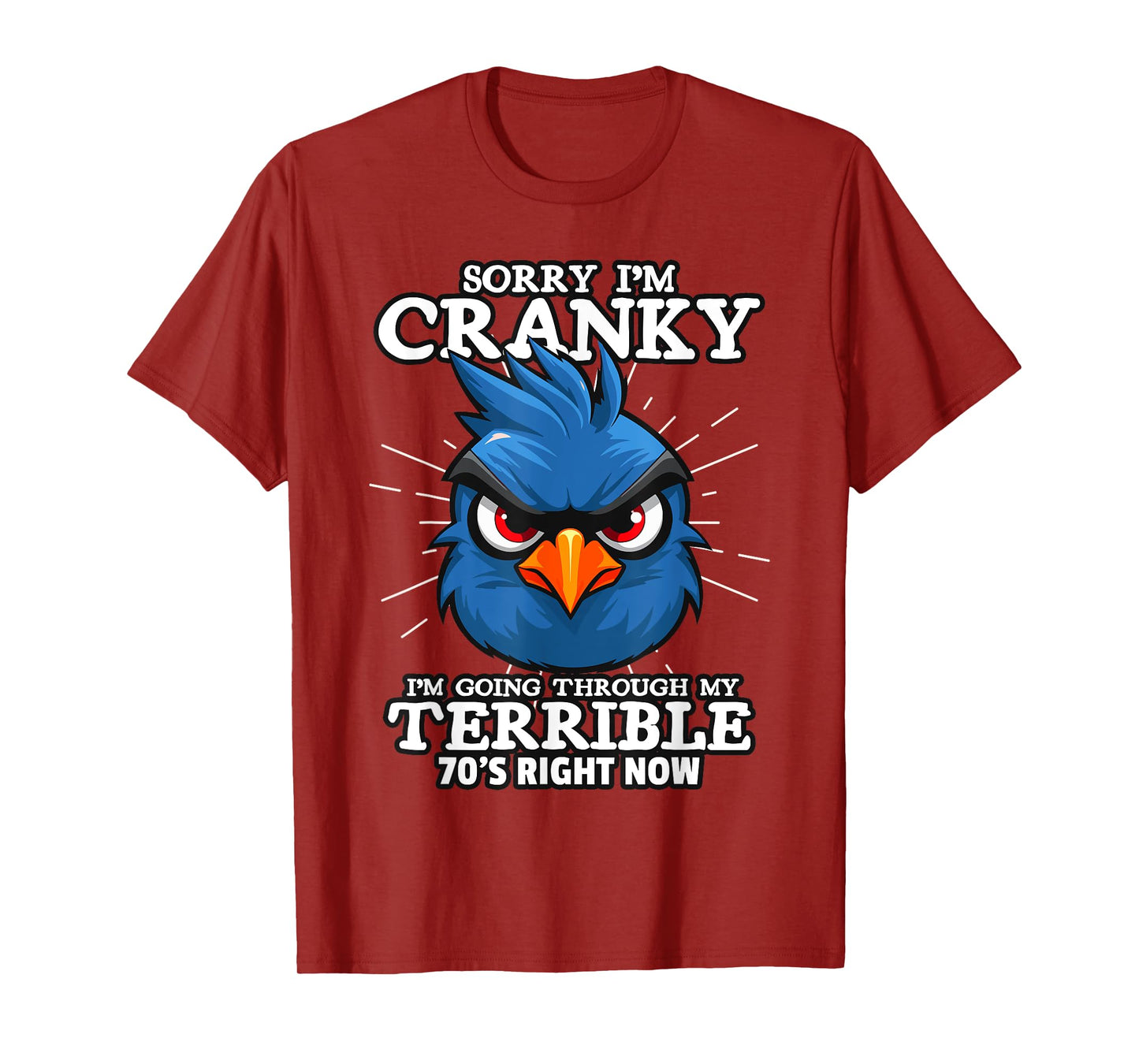 old people gag gifts for men, sorry i'm cranky i'm in 70s T-Shirt