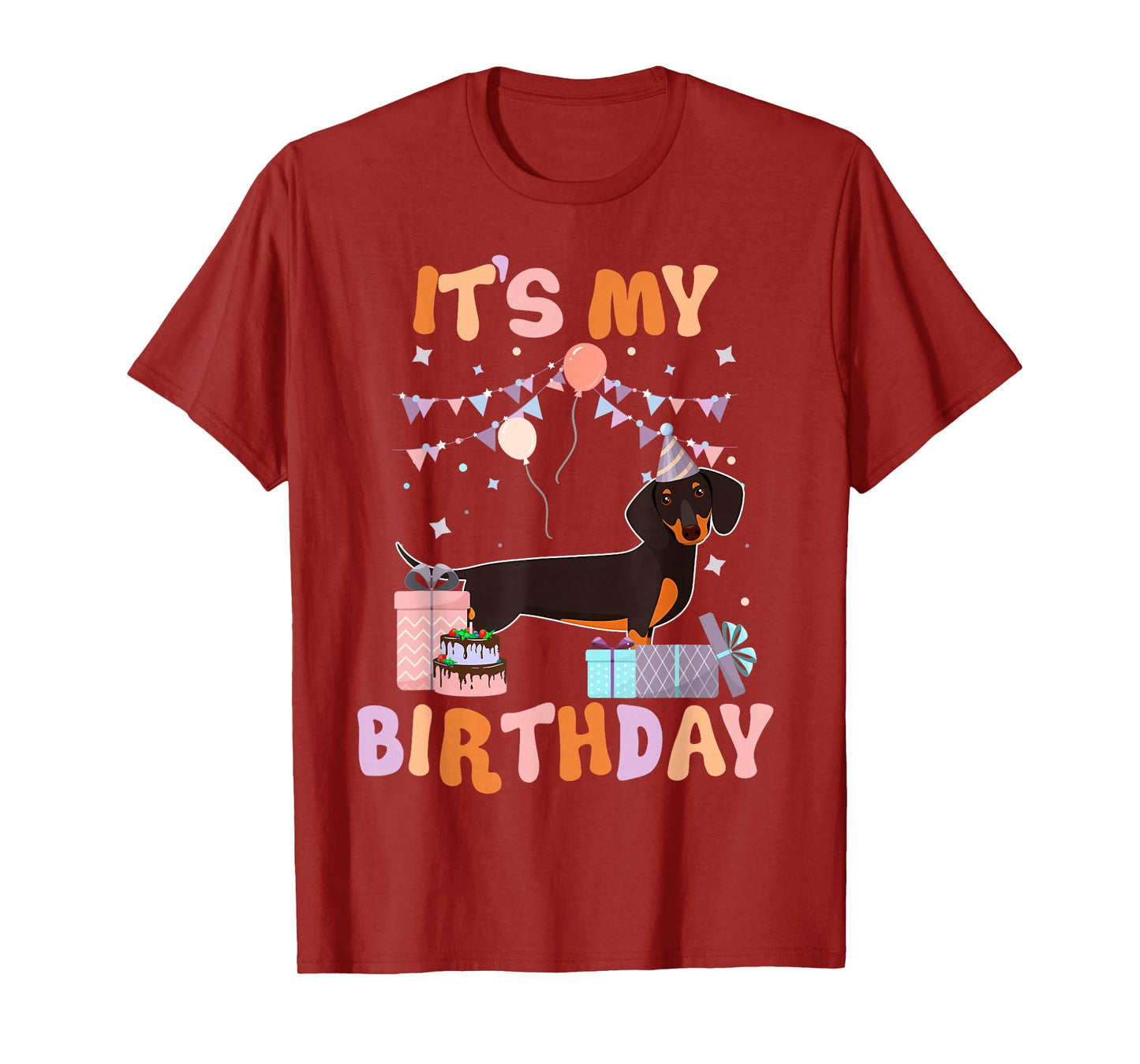 Its My Birthday Dachshund Dog Funny Birthday Party Dog Lover T-Shirt