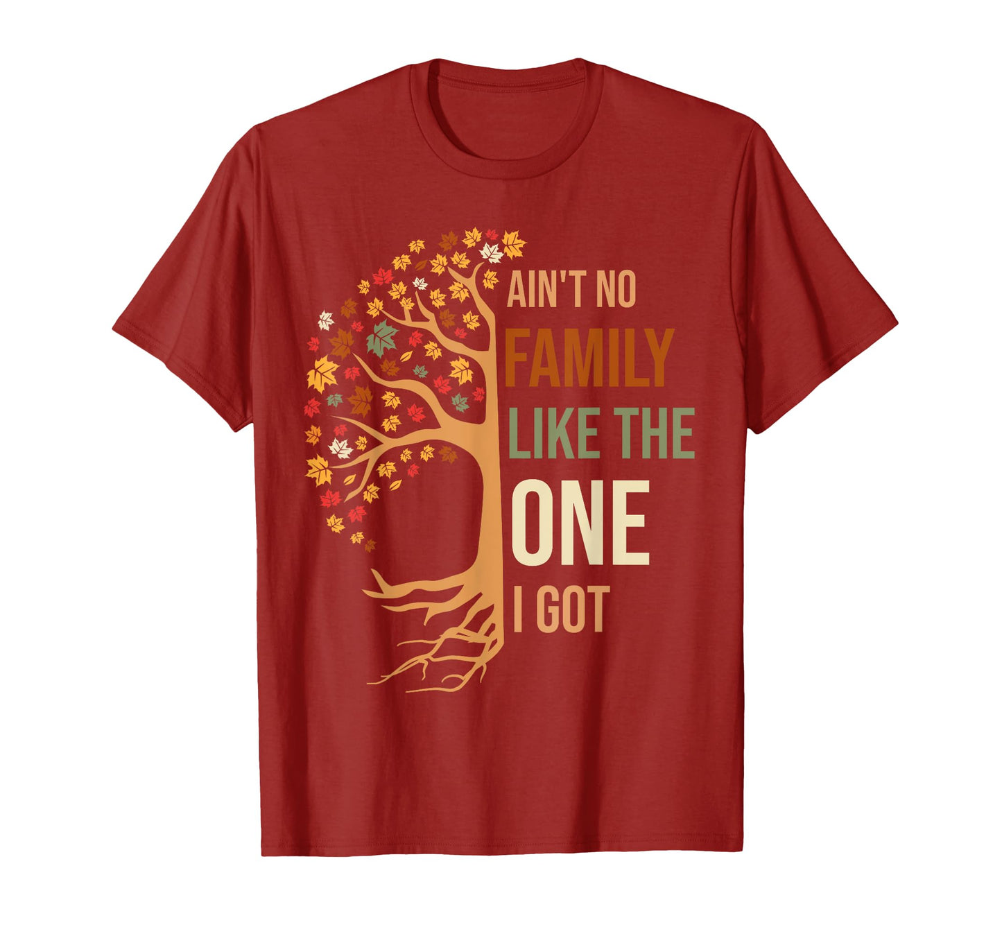 Ain't No Family Like The One I Got Funny Family Reunion 2024 T-Shirt