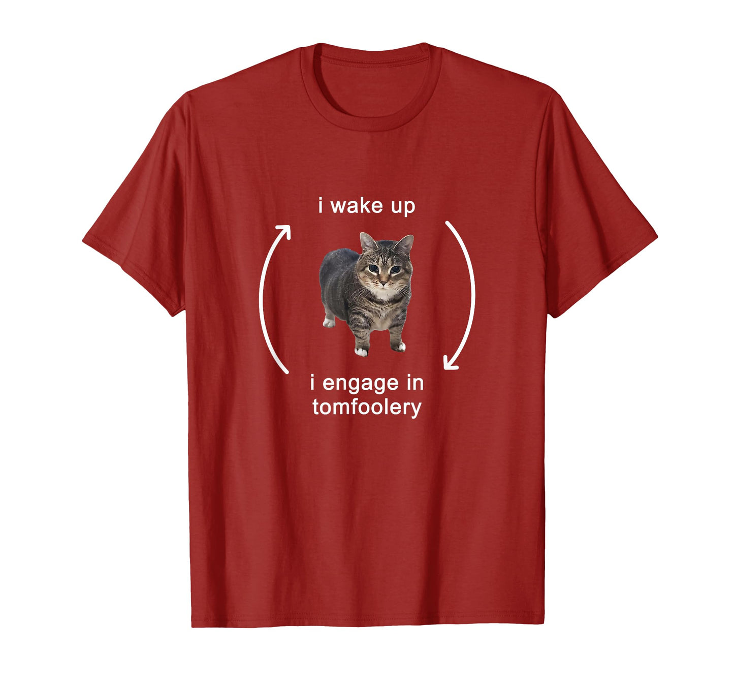 I Wake Up I Engage In Tomfoolery Silly Cat Meme T-Shirt