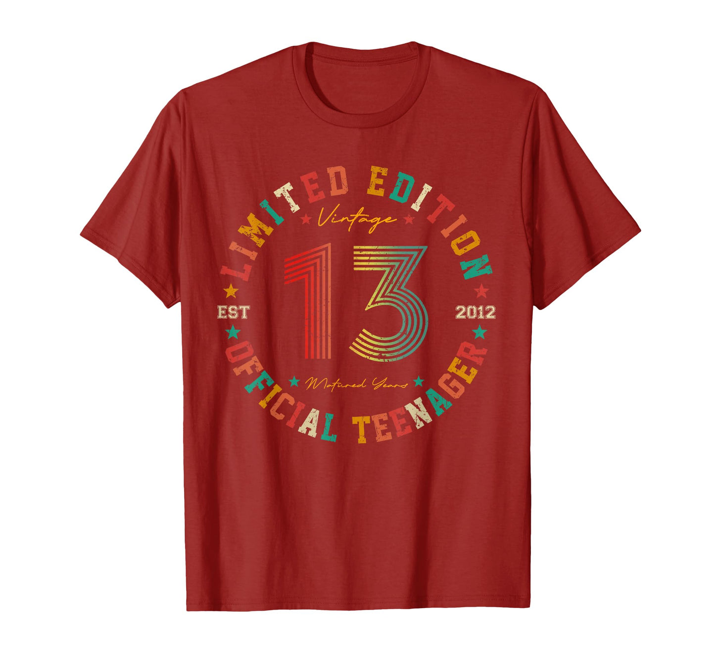 Official Teenager 13 Year Old Gifts Vintage 13th Birthday T-Shirt