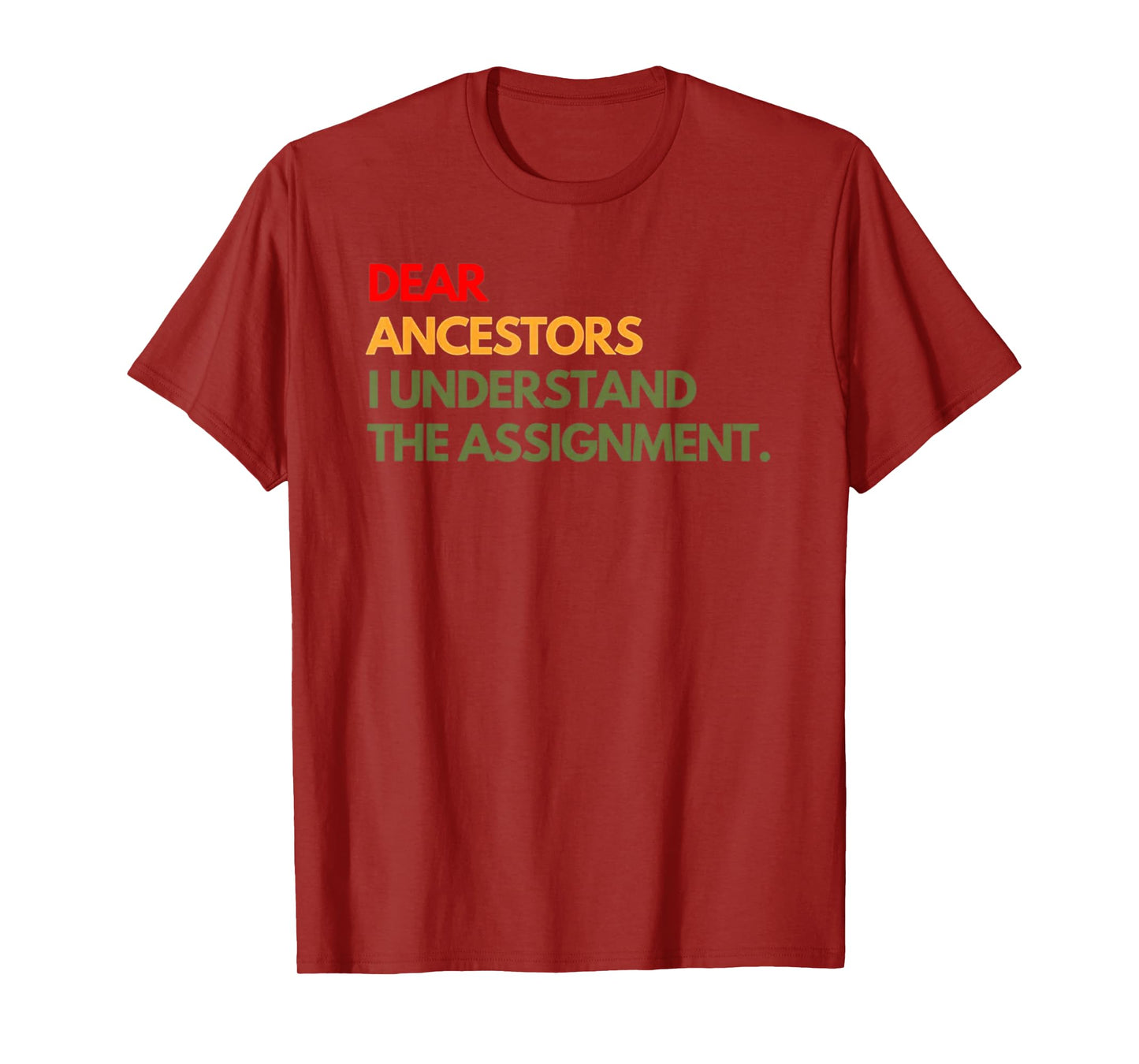 Dear Ancestors I Understand The Assignment T-Shirt