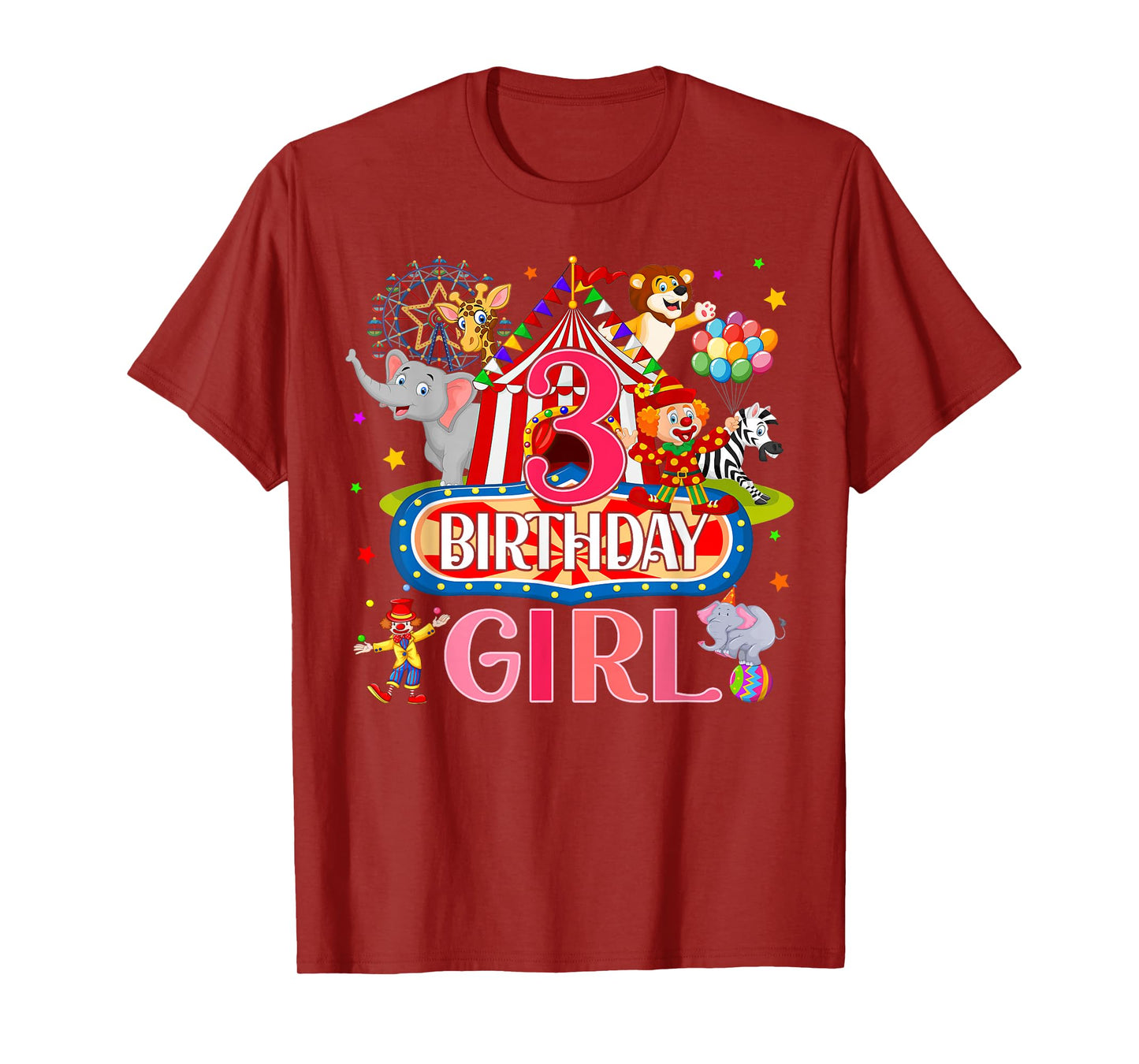 3rd Birthday For Girl Ringmaster Circus Carnival Family Bday T-Shirt