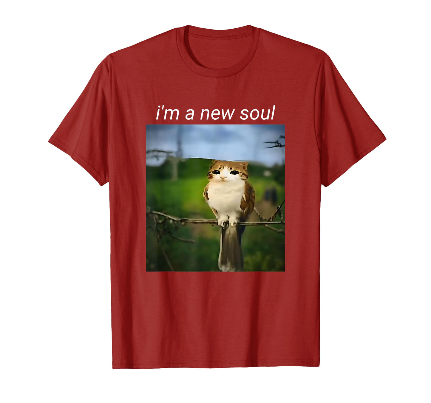 Funny meowl Meme, cat owl Meme brainrot gen Alpha Meme T-Shirt