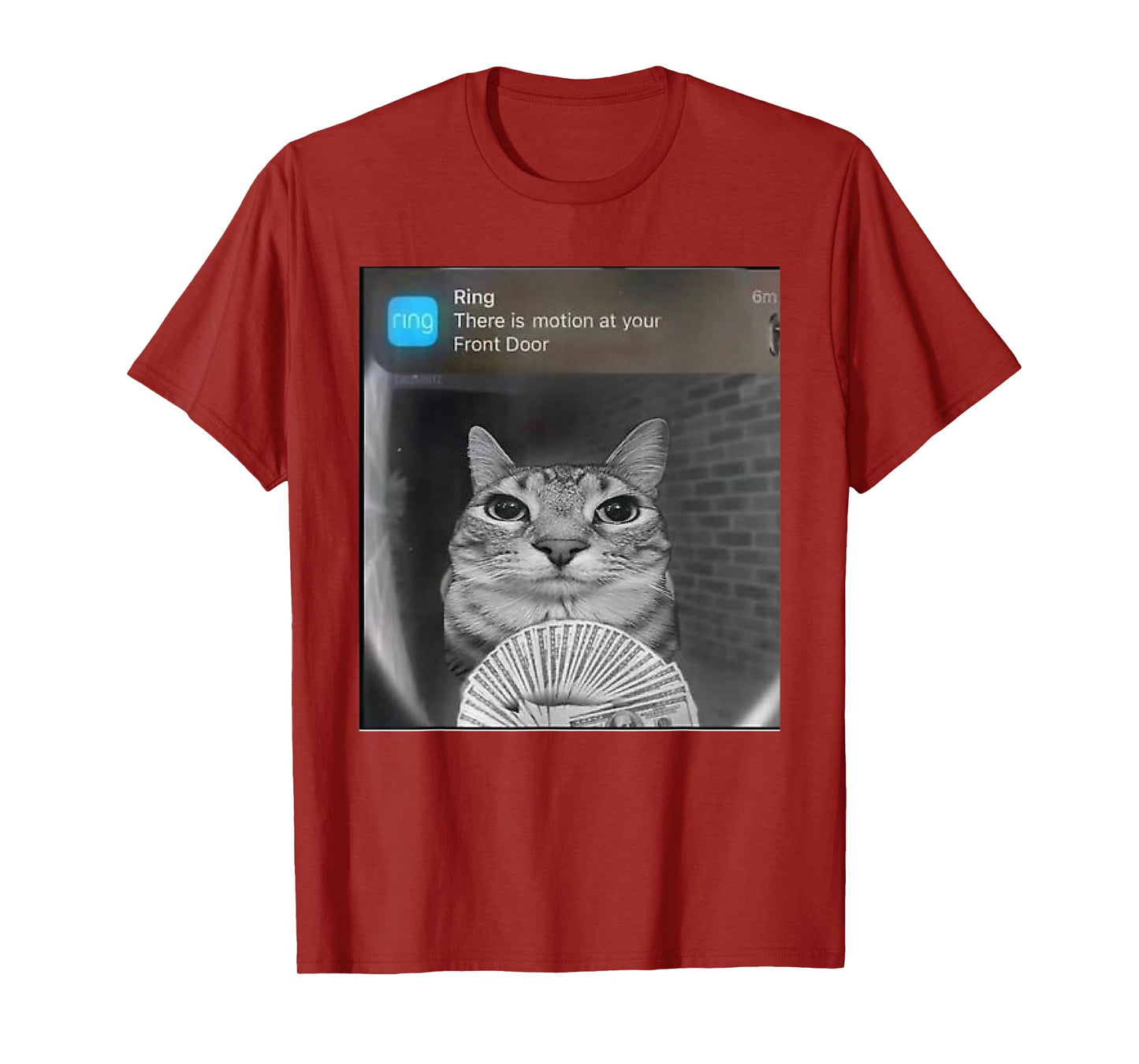 Ring Cat with Motion Meme T-Shirt