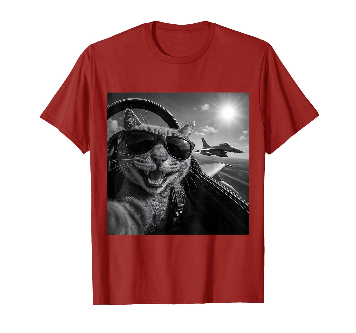 Cat Selfie Jet Plane Funny Cat Gifts for Men Women Children T-Shirt