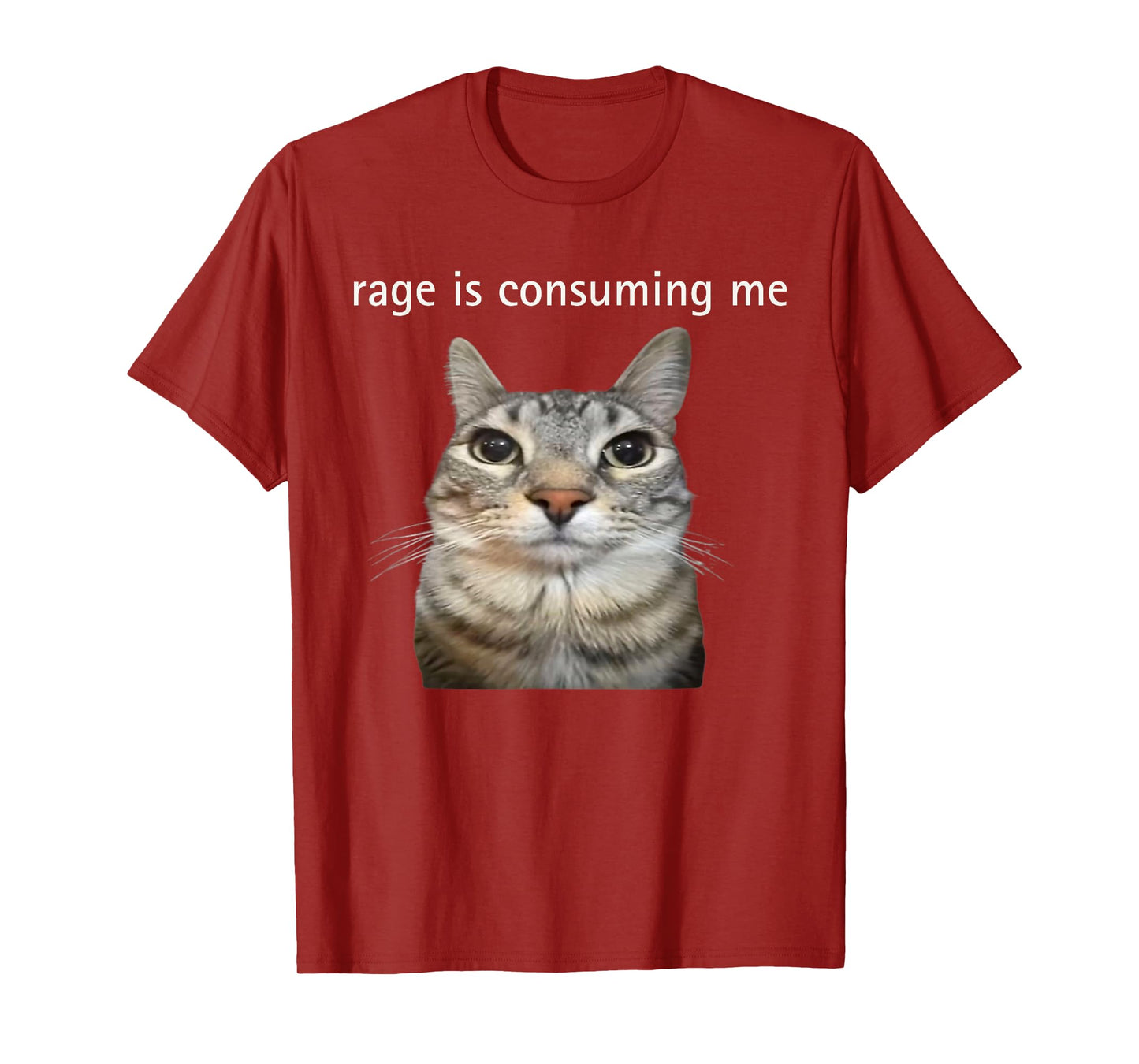 Rage Is Consuming Me Silly Staring Cat Meme T-Shirt