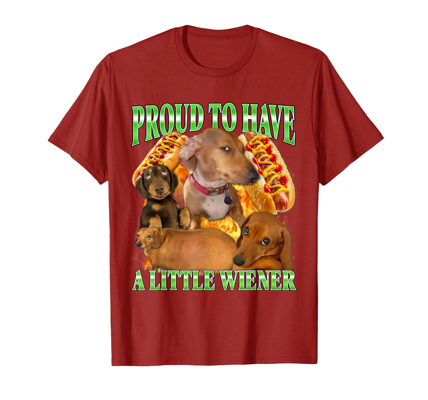 Proud to Have A Little Wiener Funny Offensive Dachshund Dog T-Shirt