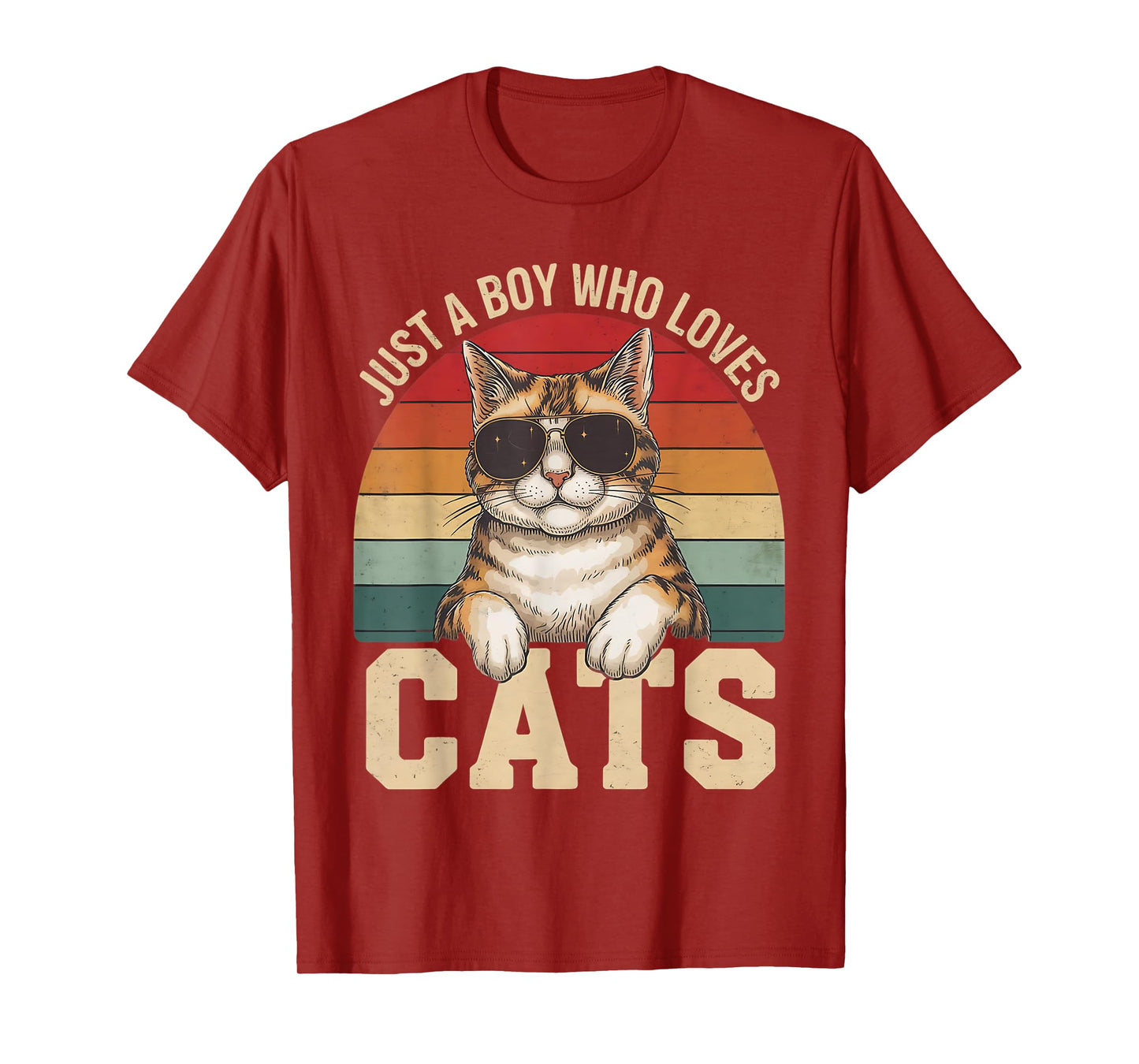 Just A Boy Who Loves Cats Cat Lover T-Shirt