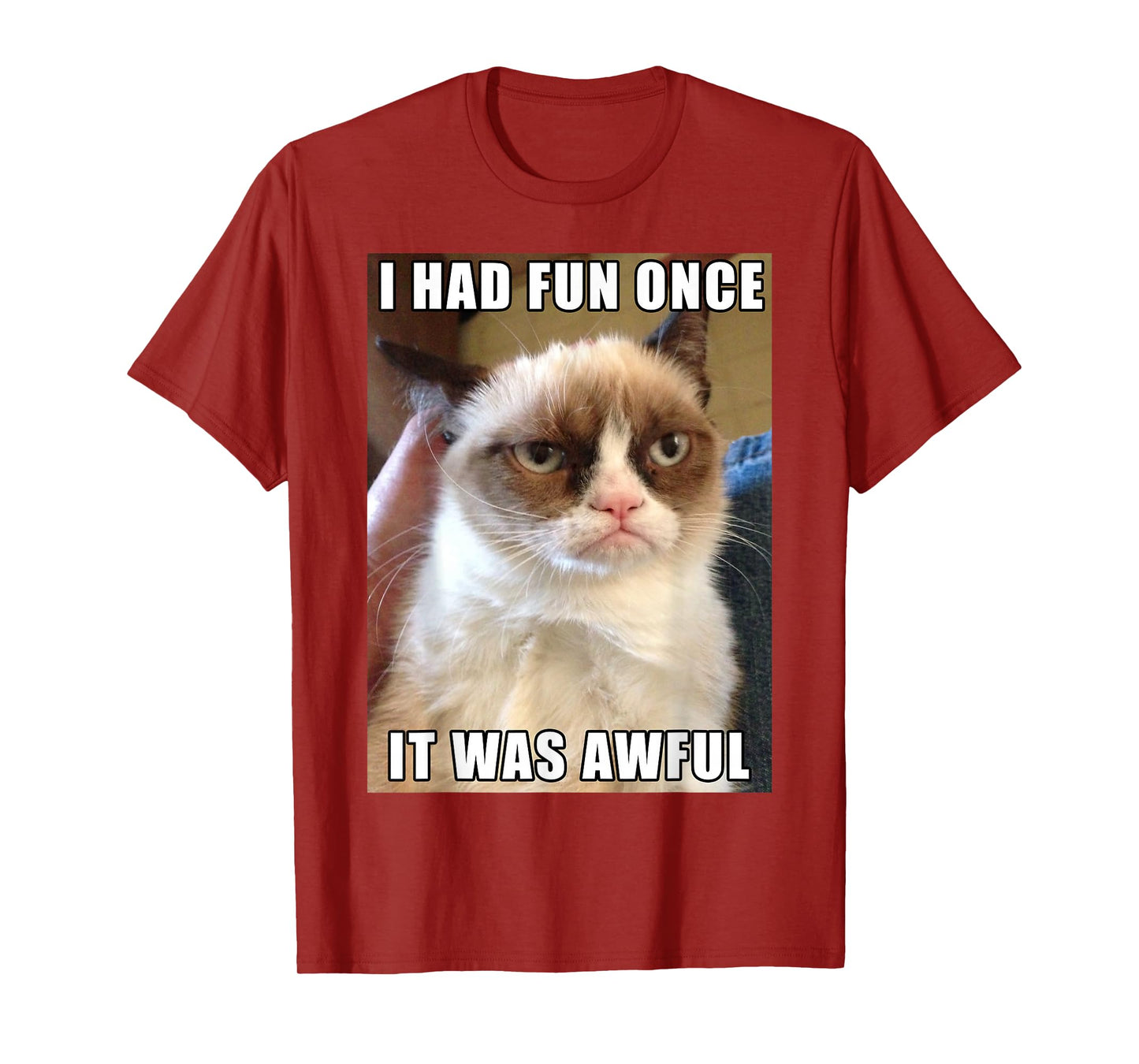 I had fun once. It was awful. T-Shirt