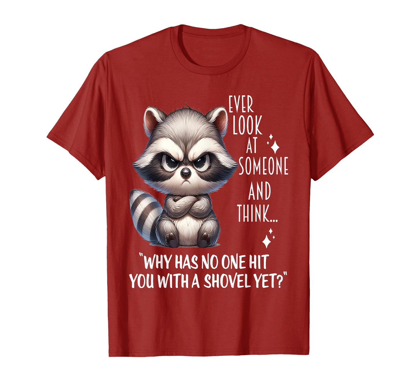 Raccoon Ever Look At Someone And Think Why Has No One Hit T-Shirt