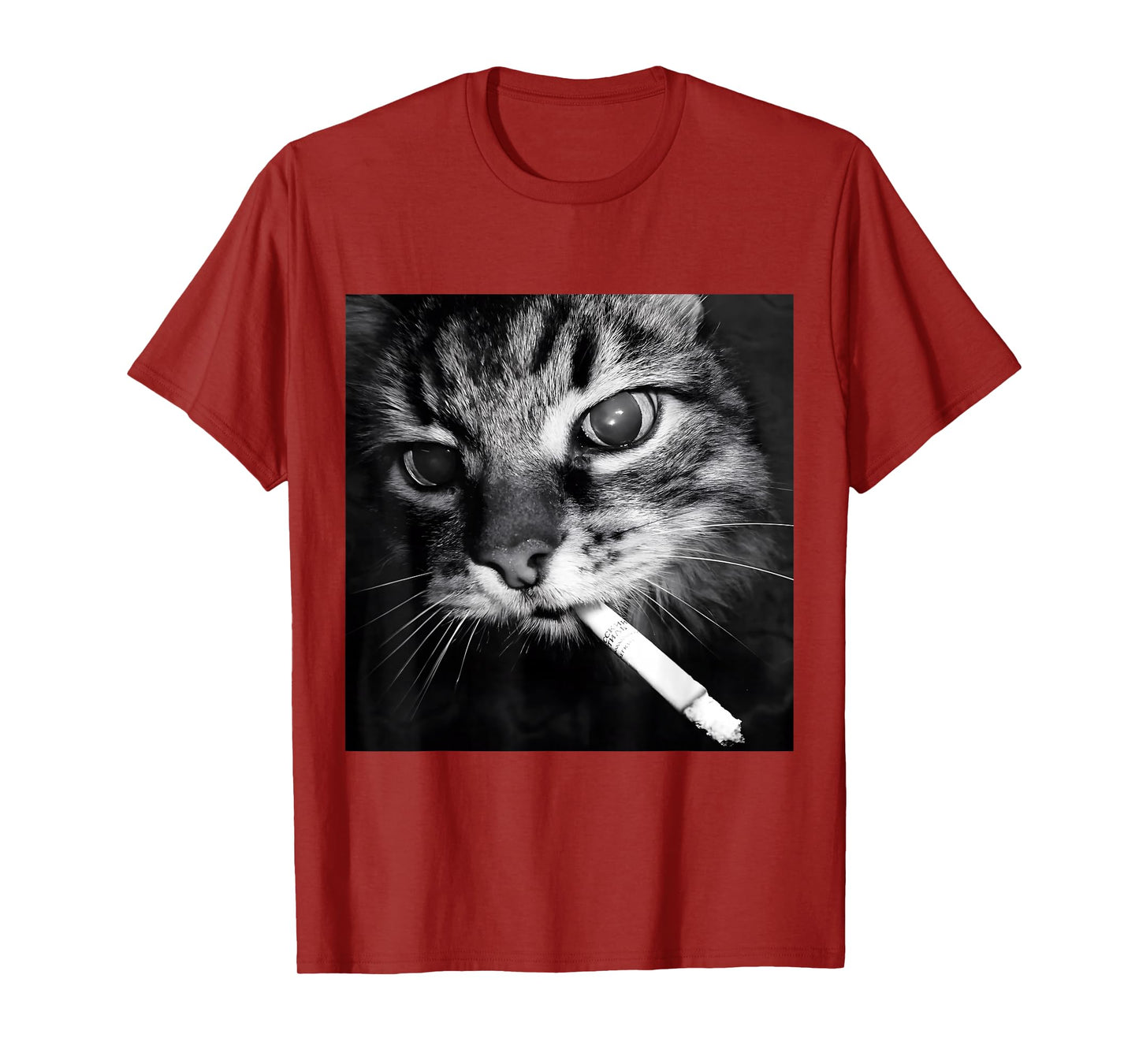 Cigarette Kitten Funny Smoking Cat Meme Stupid Brainrot T-Shirt