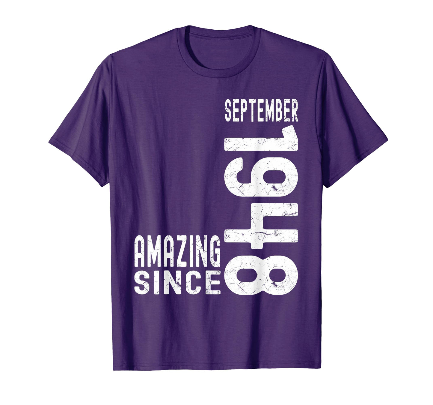 Amazing Since September 1948 Born In 1948 September Birthday T-Shirt