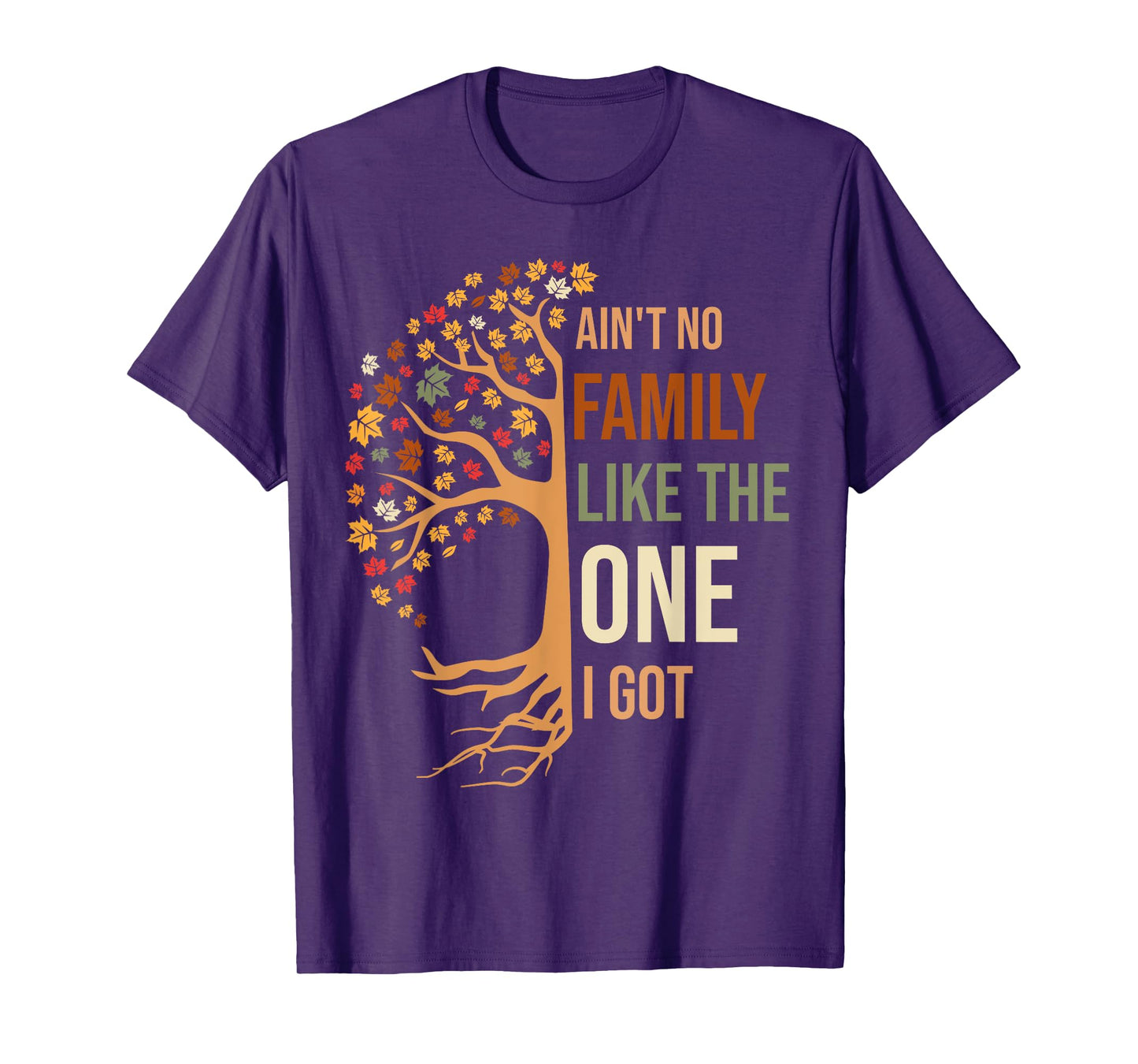 Ain't No Family Like The One I Got Funny Family Reunion 2024 T-Shirt