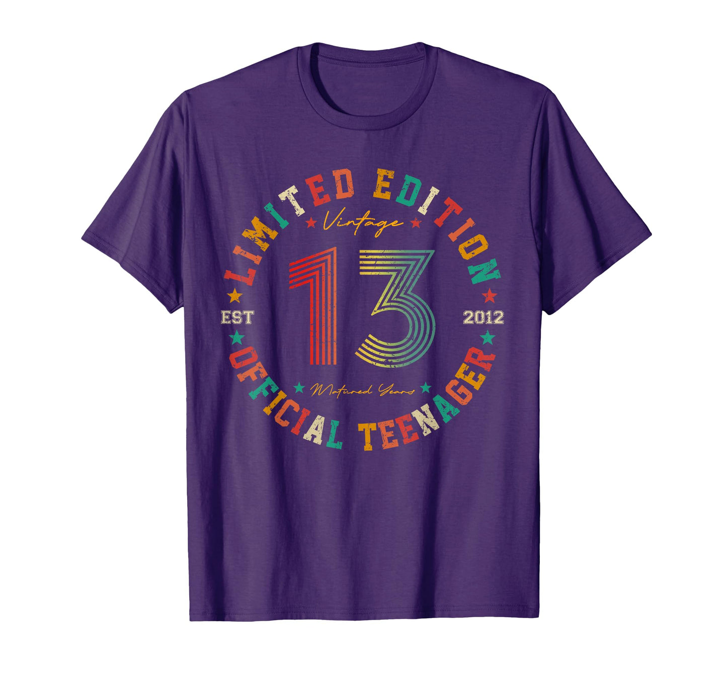 Official Teenager 13 Year Old Gifts Vintage 13th Birthday T-Shirt