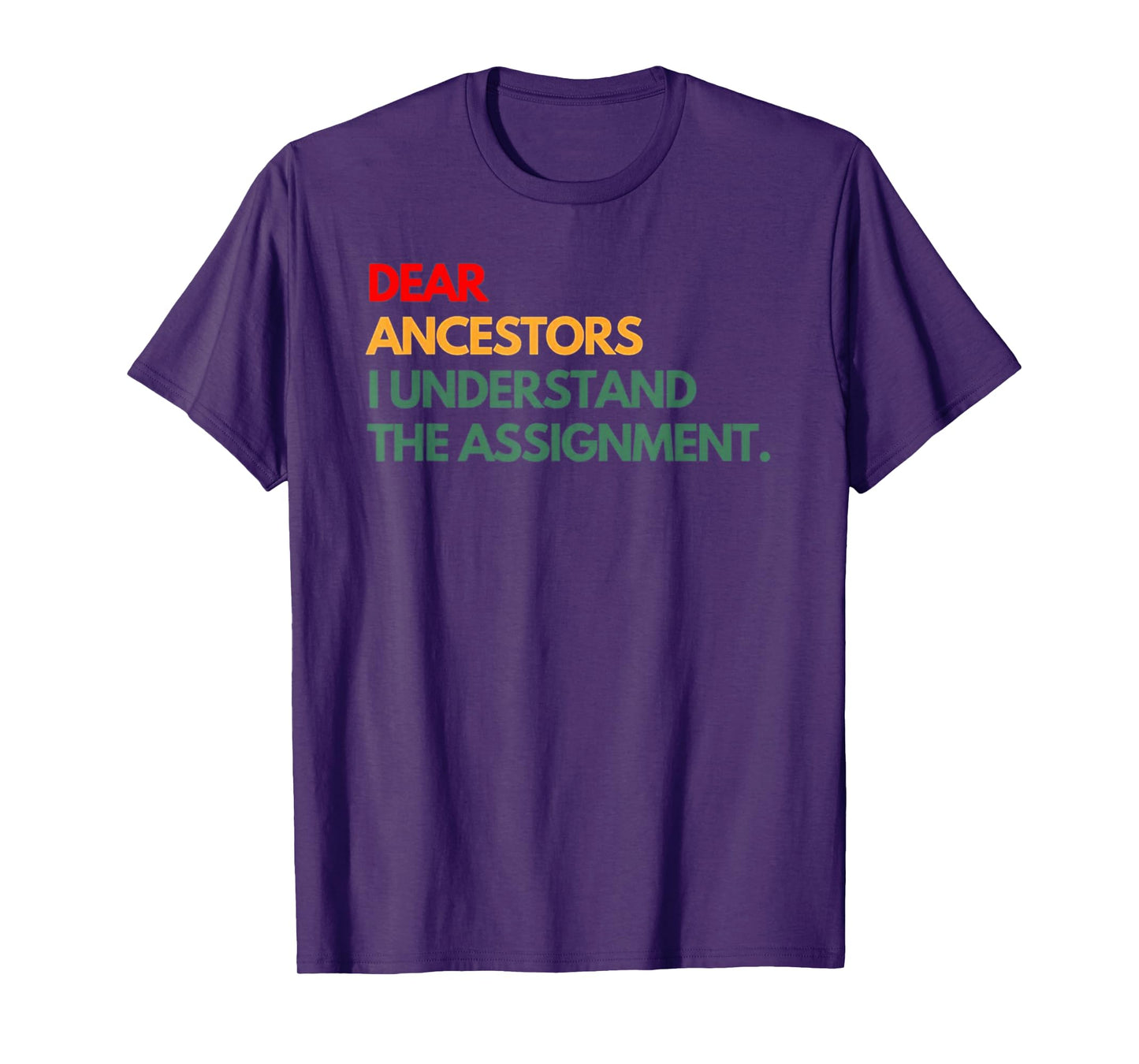 Dear Ancestors I Understand The Assignment T-Shirt